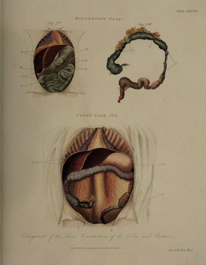 jPbrte XXXVU Xondon,' J*ubfished by Larufmem,.ReesfJrm^,£rowfi & <2rsen,J&j{3. //tptavnr//y XXz />i&)