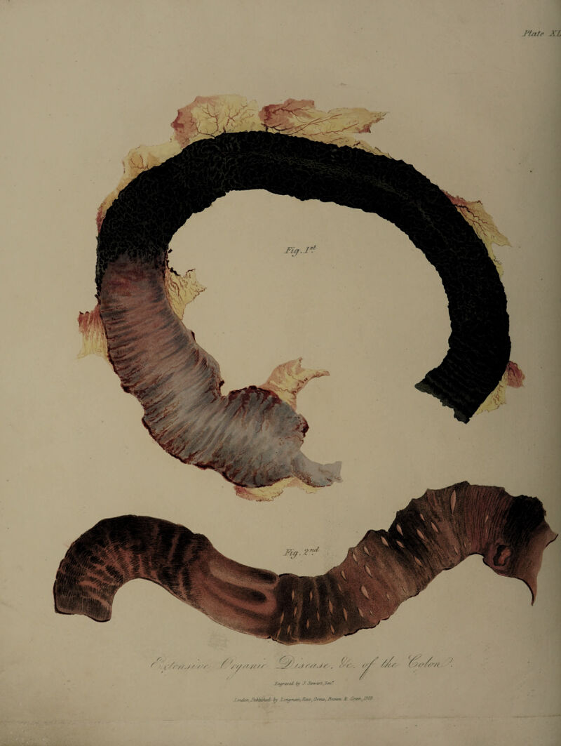 Ffafe XL I'rigray&L by J Stewart, Sen.r. f.nndori'-PubUsftai by J.onaauz/t, fires, Ornu.,3rowri 8c Cratn ,1828