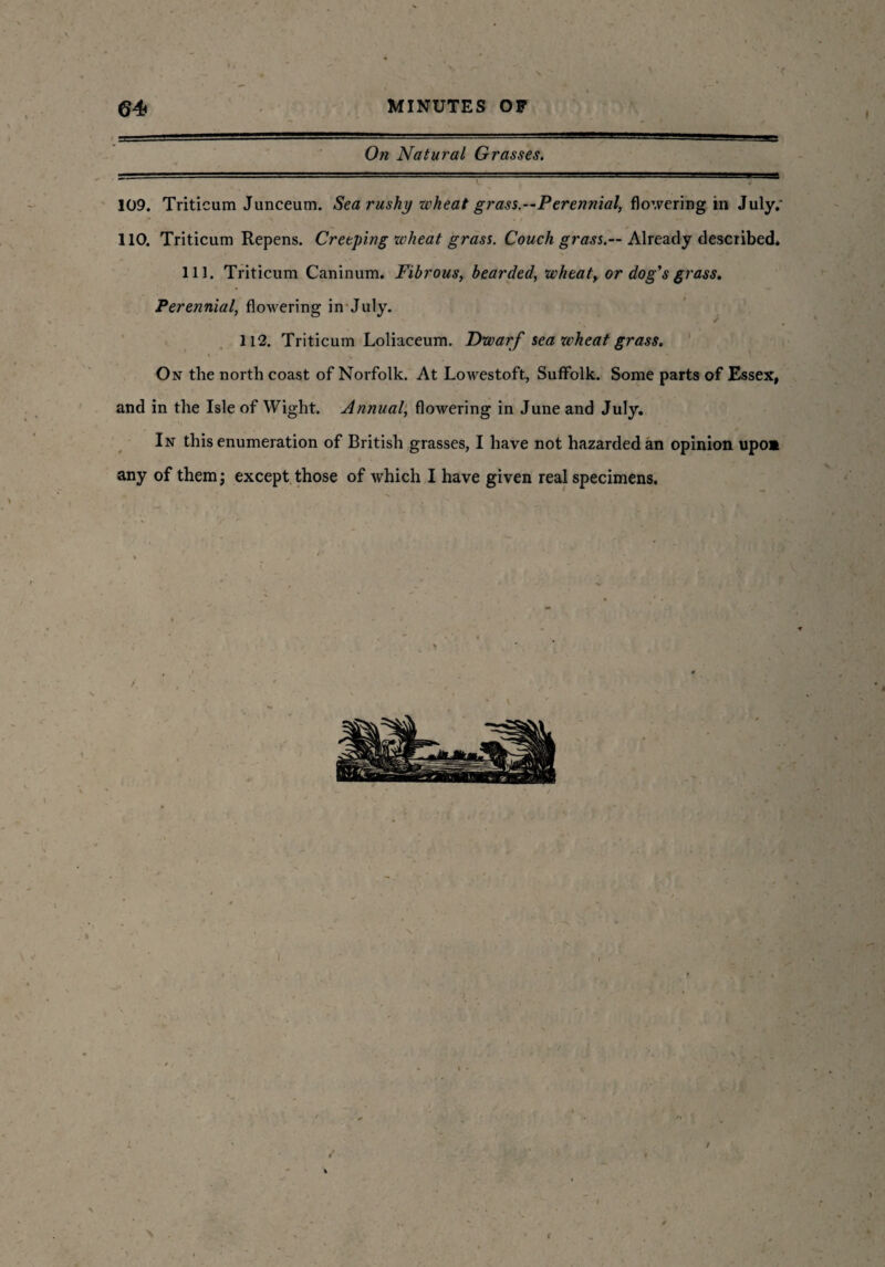 \ 1 > 64 MINUTES OF ... 1 .. .■■■'.= On Natural Grasses. 109. Triticum Junceum. Sea rushy wheat grass.—Perennial, flowering in July. 110. Triticum Repens. Creeping wheat grass. Couch grass.— Already described. 111. Triticum Caninum. Fibrous, bearded, wheat, or dog's grass. Perennial, flowering in July. 112. Triticum Loliaceum. Dwarf sea wheat grass. On the north coast of Norfolk. At Lowestoft, Suffolk. Some parts of Essex, and in the Isle of Wight. Annual, flowering in June and July. In this enumeration of British grasses, I have not hazarded an opinion upos any of them; except those of which I have given real specimens. ft \ / *