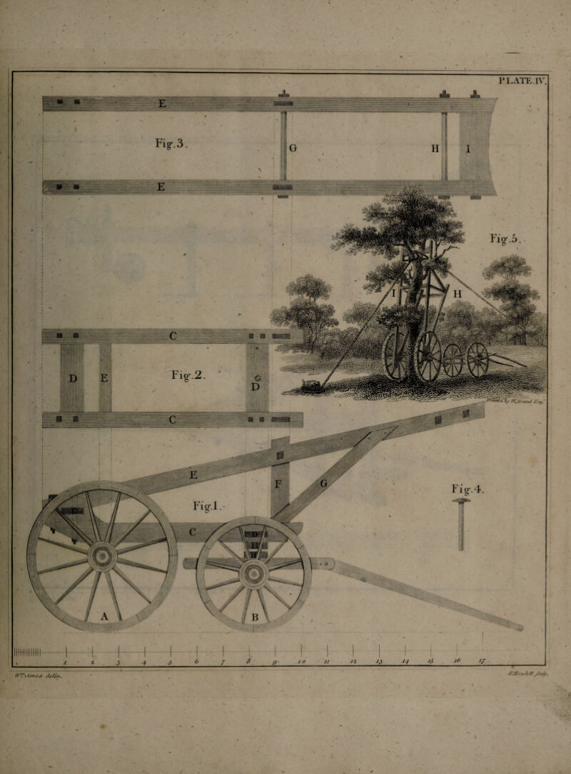 / li TV -i mo s cUMsi. PLATE IV. Fig-,5. r i g. 4. i • I j6 // --- Jiffowlcit jcvfa. t— —I'. 8_g• jo r /