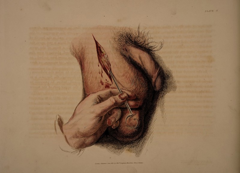 PLATE V. Zon/lon, SubHsheS June,. 1A20, ty MeCrrfLongmMV.Hursc.SMS. Onrw.ScHrowrv.