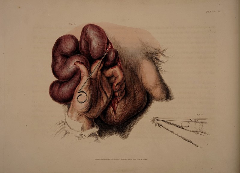 l.ondorv, fublMhcd Jwte.JrfZO. 'by Mas’S Lonyitum, Hurst, Sices. Ornw. Sc Uror/tis.