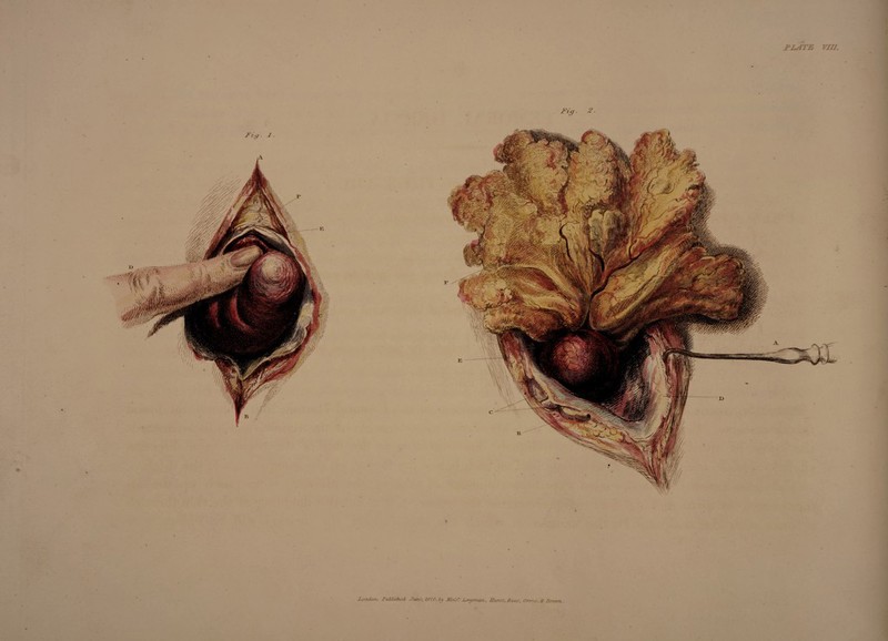 Z,ondori/. .Published,- 1(0*20. by Jbfe/sU \Lvuy man/. Silts I. R&es, Otuic, & JBtowti