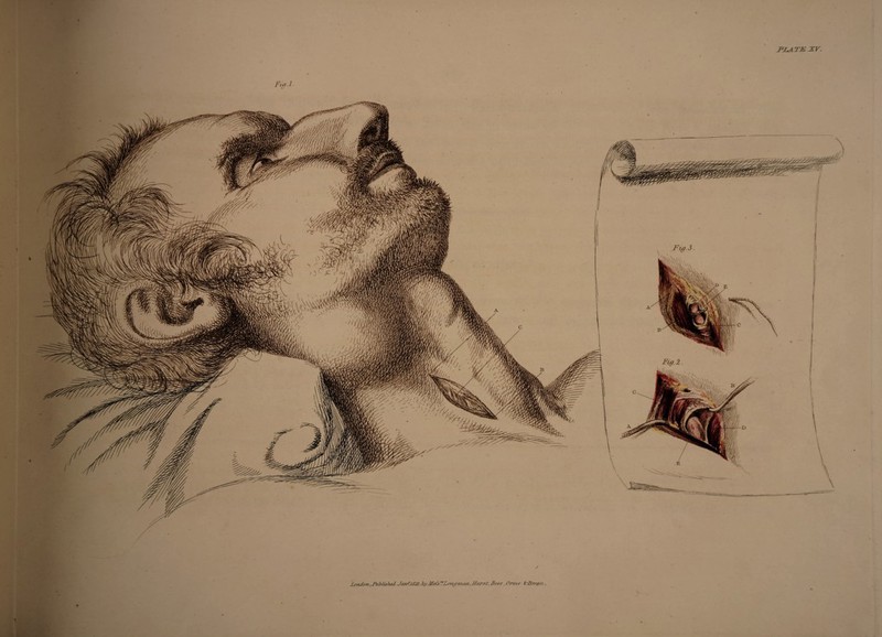 PLATE XV. Fut-l London.,Jdublishcd JandUSH. JtyMdVTLrnflman,llur.U, fif.es. Onnr kBivtm .