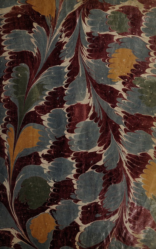 No text description is available for this image