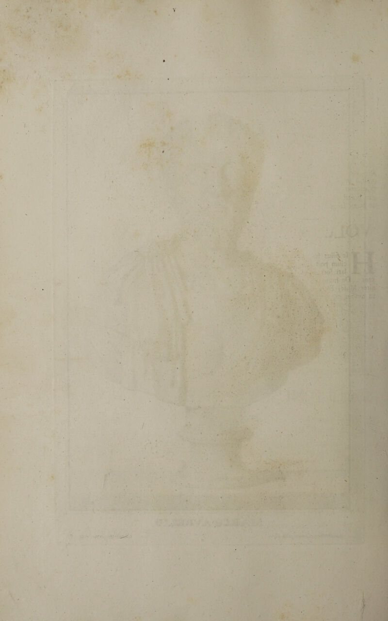 t * • > . ✓ l • 4