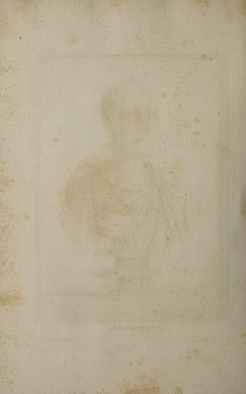 i - V » ? - 4 ’ t \