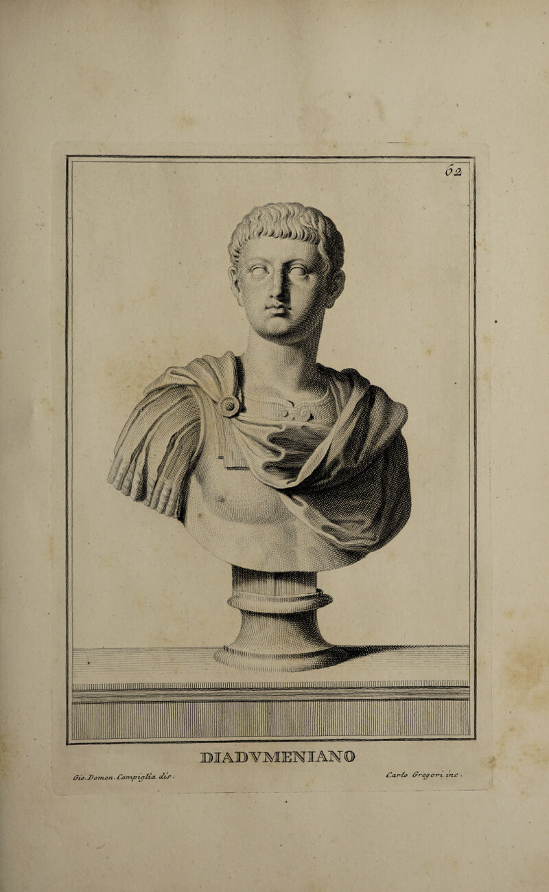 / \ diabvmenian o LTM.JJomen ■ Campylia. dis . Cardo dr-ejooi in.c