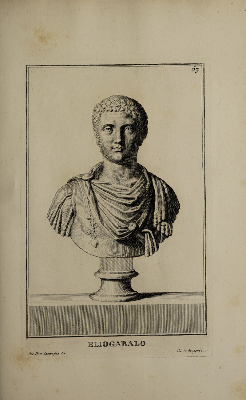 » \ / Cio ,J)o m ■ Camp icjlia dis EMO GABALO Caria Creqeri inc ■ t