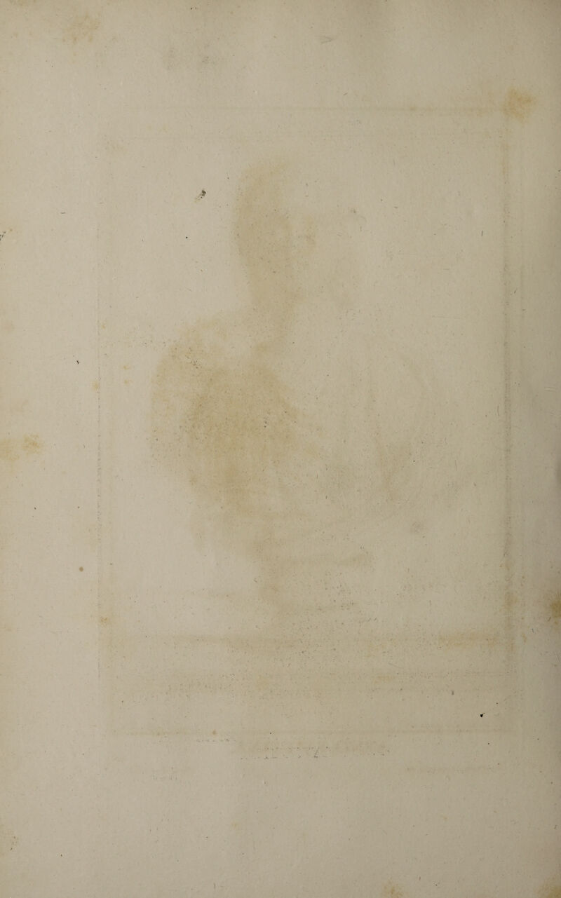 ' \ ; . . V' Vi ■ «ty •• ' . A •• 1 ' » •• *. r A _ • r •- . , . I ' * r ! ; L • . • * ‘ '* % ■V . t'{. ■ ' . / . •• * . ' -» ■ / * ’ ' r >■ • *T <\ i . . •. . ■' ' \ ' , ’>■ - i . >• • •*. r > r- , ^ i* -* -V : • * ' * C •• v • . .i~ *- / 1