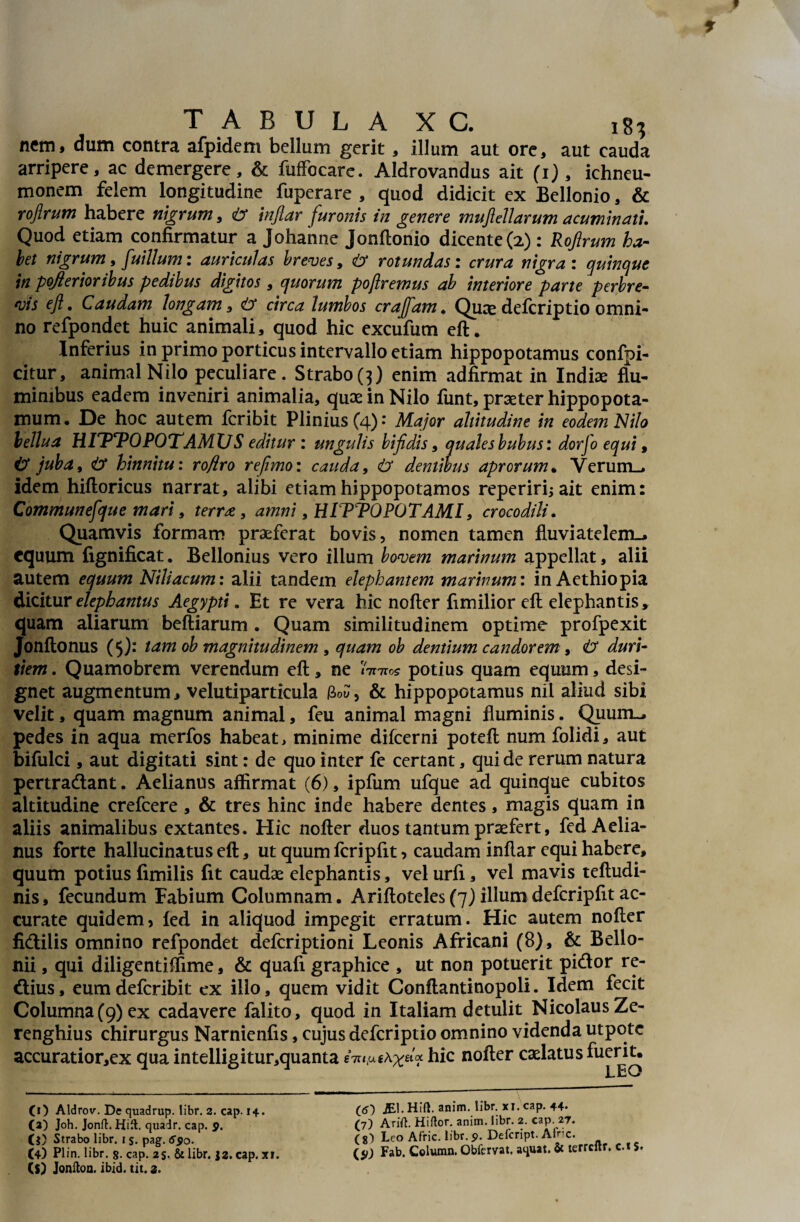 TABULA X C. ig-j nem* dum contra afpidem bellum gerit * illum aut ore* aut cauda arripere, ac demergere, & fuffocare. Aldrovandus ait (1), ichneu¬ monem felem longitudine fuperare , quod didicit ex Bellonio, & rojlrum habere nigrum, 42 infiar furonis in genere mufidiarum acuminati. Quod etiam confirmatur a Johanne Jonftonio dicente (2): Rojlrum ha¬ bet nigrum, fuillum: auriculas breves, 42 rotundas; crura nigra : quinque in pqflerioribus pedibus digitos , quorum pojlremus ab interiore parte perbre¬ vis ejl. Caudam longam, 42 circa lumbos crajfam . Quae delcriptio omni¬ no refpondet huic animali, quod hic excufum eft. Inferius in primo porticus intervallo etiam hippopotamus confpi- citur, animal Nilo peculiare. Strabo(3) enim adfirmat in Indiae flu¬ minibus eadem inveniri animalia, quae in Nilo funt, praeter hippopota¬ mum, De hoc autem feribit Plinius (4): Major altitudine in eodem Nilo bellua HITTOPOTAMVS editur : ungulis bifidis, quales bubus: dorfo equi, 42 juba, 42 hinnitu: roftro repmo: cauda, 42 dentibus aprorum , Verum-, idem hiftoricus narrat, alibi etiam hippopotamos reperirijait enim: Communefque mari, terrae, amni, HITTOPOTAMI, crocodili. Quamvis formam praeferat bovis, nomen tamen fluviatelem-* equum fignificat. Bellonius vero illum bovem marinum appellat, alii autem equum Niliacum: alii tandem elephantem marinum: in Aethiopia dicitur elephantus Aegypti. Et re vera hic nofler fimilior eft elephantis, quam aliarum beftiarum . Quam similitudinem optime profpexit Jonftonus (5). tam ob magnitudinem , quam ob dentium candorem, 42 duri¬ tiem. Quamobrem verendum eft, ne iWos potius quam equum, desi¬ gnet augmentum, velutiparticula Gou, & hippopotamus nil aliud sibi velit, quam magnum animal, feu animal magni fluminis. Quum-, pedes in aqua merfos habeat, minime difeerni poteft num folidi, aut bifulci, aut digitati sint: de quo inter fe certant, qui de rerum natura pertradant. Aelianus affirmat (6), ipfum ufque ad quinque cubitos altitudine crefcere, & tres hinc inde habere dentes, magis quam in aliis animalibus extantes. Hic nofter duos tantum praefert, fed Aelia¬ nus forte hallucinatuseft, ut quum fcripfit, caudam infiar equi habere, quum potius fimilis fit caudae elephantis, vel urfi, vel mavis teftudi- nis, fecundum Fabium Columnam. Ariftoteles(7)illumdefcripfitac¬ curate quidem, led in aliquod impegit erratum. Hic autem nofter fidilis omnino refpondet deferiptioni Leonis Africani (8), & Bello- nii, qui diligentiffime, & quafi graphice , ut non potuerit pidor re- dius, eumdeferibit ex illo, quem vidit Conftantinopoli. Idem fecit Columna (9) ex cadavere falito, quod in Italiam detulit Nicolaus Ze- renghius chirurgus Narnienfis, cujus deferiptio omnino videnda utpotc accuratior,ex qua intelligitur,quanta eW*A^aa hic nofter caelatus fuerit. (<0 JE1. Hift. anim. libr. xi. cap. 44- (7) Arift. Hiftor. anim. libr. 2. cap. 27. (g') Leo Afric. iibr.p. Defcript. Afnc. (5>J Fab. Column. Obfervat. aquat. & terreur. c.* %■> (1) Aldrov. De quadrup. libr. 2. cap. 14. (2) Joh. Jonft.Hiil. quadr. cap. 9. U) Strabo libr. 1 s. pag. 69o. (4) Plin. libr. cap. 2S. & libr. 12. cap. xr.