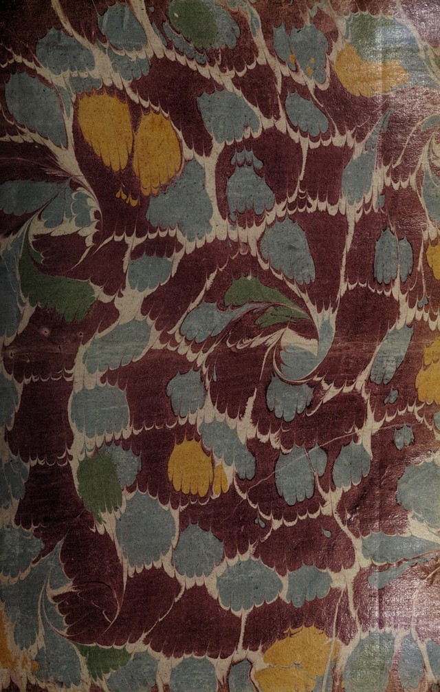 No text description is available for this image