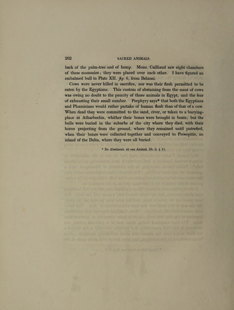 bark of the palm-tree and of hemp. Mons. Cailliaud saw eight chambers of these mummies ; they were placed over each other. I have figured an embalmed bull in Plate XII. fig. 6, from Belzoni. Cows were never killed in sacrifice, nor was their flesh permitted to be eaten by the Egyptians. This custom of abstaining from the meat of cows was owing no doubt to the paucity of those animals in Egypt, and the fear of exhausting their small number. Porphyry says* that both the Egyptians and Phoenicians would rather partake of human flesh than of that of a cow. When dead they were committed to the sand, river, or taken to a burying- plaee at Atharbechis, whither their bones were brought in boats; but the bulls were buried in the suburbs of the city where they died, with their horns projecting from the ground, where they remained until putrefied, when their bones were collected together and conveyed to Prosopitis, an island of the Delta, where they were all buried. * De Abstinent, ab esu Animal, lib. ii. § 11.