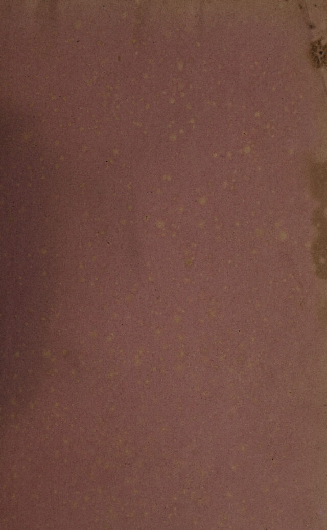 digitised image 3