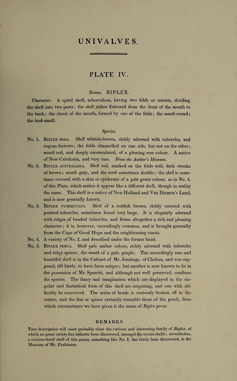 PLATE IV. Genus. BIPLEX. Character. A spiral shell, tuberculous, having two folds or sutures, dividing the shell into two parts : the shell rather flattened from the front of the mouth to the back; the cheek of the mouth, formed by one of the folds; the mouth round; the beak small. Species. No. 1. Biplex rosa. Shell whitish-brown, richly adorned with tubercles, and rugous furrows; the folds channelled on one side, but not on the other; mouth red, and deeply carunculated, of a pleasing rose colour. A native of New Caledonia, and very rare. From the Author s Museum. No. 2. Biplex Australasia. Shell red, marked on the folds with dark streaks of brown; mouth gray, and the teeth sometimes double; the shell is some¬ times covered with a skin or epidermis of a pale green colour, as in No. 4. of this Plate, which makes it appear like a different shell, though in reality the same. This shell is a native of New Holland and Van Diemen’s Land, and is now generally known. No. 3. Biplex tuberculus. Shell of a reddish brown, richly covered with pointed tubercles, sometimes found very large. It is elegantly adorned with ridges of beaded tubercles, and forms altogether a rich and pleasing character; it is, however, exceedingly common, and is brought generally from the Cape of Good Hope and the neighbouring coasts. No. 4. A variety of No. 2, and described under the former head. No. 5. Biplex perca. Shell pale amber colour, richly adorned with tubercles and ridgy spines; the mouth of a pale purple. This exceedingly rare and beautiful shell is in the Cabinet of Mr. Jennings, of Chelsea, and was sup¬ posed, till lately, to have been unique; but another is now known to be in the possession of Mr. Spurritt, and although not well preserved, confirms the species. The fancy and imagination which are displayed in the sin¬ gular and fantastical form of this shell are surprising, and can with dif¬ ficulty be conceived. The series of beads is curiously broken off in the centre, and the fins or spines certainly resemble those of the perch, from which circumstance we have given it the name of Biplex perca. REMARKS. This description will most probably close the curious and interesting family of Biplex, of which no great variety has hitherto been discovered, amongst the recent shells; nevertheless, a curious fossil shell of this genus, something like No. I, has lately been discovered, in the Museum of Mr. Parkinson.
