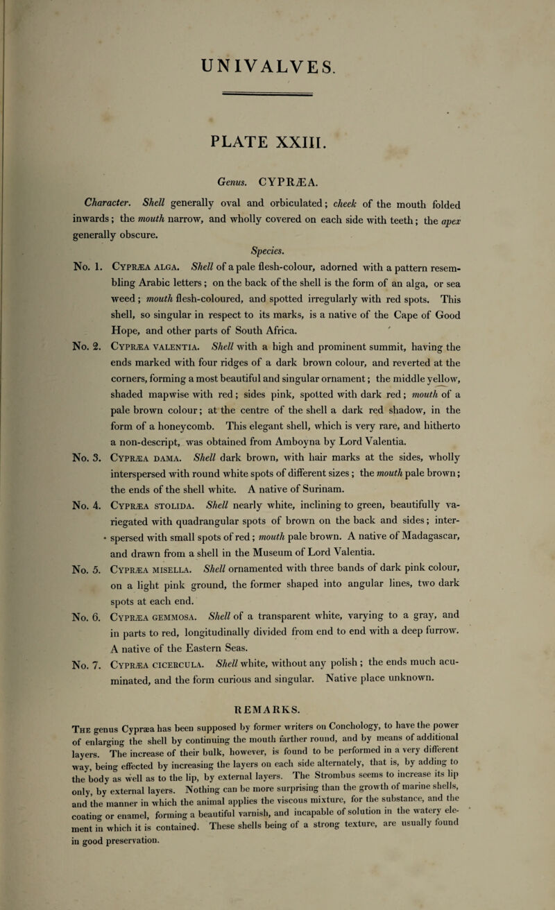 PLATE XXIII. Genus. CYPRiEA. Character. Shell generally oval and orbiculated; cheek of the mouth folded inwards ; the mouth narrow, and wholly covered on each side with teeth; the apex generally obscure. Species. No. 1. Cyprjea alga. Shell of a pale flesh-colour, adorned with a pattern resem¬ bling Arabic letters ; on the back of the shell is the form of an alga, or sea weed ; mouth flesh-coloured, and spotted irregularly with red spots. This shell, so singular in respect to its marks, is a native of the Cape of Good Hope, and other parts of South Africa. No. 2. Cypilea valentia. Shell with a high and prominent summit, having the ends marked with four ridges of a dark brown colour, and reverted at the corners, forming a most beautiful and singular ornament; the middle yellow, shaded mapwise with red ; sides pink, spotted with dark red; mouth of a pale brown colour; at the centre of the shell a dark red shadow, in the form of a honeycomb. This elegant shell, which is very rare, and hitherto a non-descript, was obtained from Amboyna by Lord Valentia. No. 3. Cypilea dama. Shell dark brown, with hair marks at the sides, wholly interspersed with round white spots of different sizes; the mouth pale brown; the ends of the shell white. A native of Surinam. No. 4. Cypilea stolida. Shell nearly white, inclining to green, beautifully va¬ riegated with quadrangular spots of brown on the back and sides; inter- • spersed with small spots of red; mouth pale brown. A native of Madagascar, and drawn from a shell in the Museum of Lord Valentia. No. 5. Cypilea misella. Shell ornamented with three bands of dark pink colour, on a light pink ground, the former shaped into angular lines, two dark spots at each end. No. 6. Cypilea gemmosa. Shell of a transparent white, varying to a gray, and in parts to red, longitudinally divided from end to end with a deep furrow. A native of the Eastern Seas. No. 7. Cypilea cicercula. Shell white, without any polish ; the ends much acu¬ minated, and the form curious and singular. Native place unknown. REMARKS. The genus Cyprsea has been supposed by former writers on Conchology, to have the power of enlarging the shell by continuing the mouth farther round, and by means of additional layers. The increase of their bulk, however, is found to be performed in a very different way, being effected by increasing the layers on each side alternately, that is, by adding to the body as well as to the lip, by external layers. The Strombus seems to increase its lip only, by external layers. Nothing can be more surprising than the growth of marine shells, and the manner in which the animal applies the viscous mixture, for the substance, and the coating or enamel, forming a beautiful varnish, and incapable of solution in the watery ele¬ ment in which it is contained. These shells being of a strong texture, are usually found in good preservation.