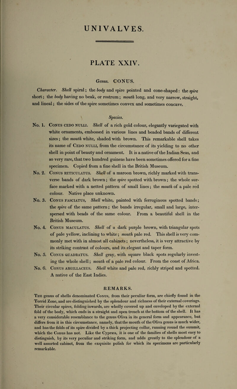 PLATE XXIV. Genus. CONUS. Character. Shell spiral; the body and spire pointed and cone-shaped: the spire short; the body having no beak, or rostrum; mouth long, and very narrow, straight, and lineal; the sides of the spire sometimes convex and sometimes concave. Species. No. 1. Conus cedo nulli. Shell of a rich gold colour, elegantly variegated with white ornaments, embossed in various lines and beaded bands of different sizes; the mouth white, shaded with brown. This remarkable shell takes its name of Cedo nulli, from the circumstance of its yielding to no other shell in point of beauty and ornament. It is a native of the Indian Seas, and so very rare, that two hundred guineas have been sometimes offered for a fine specimen. Copied from a fine shell in the British Museum. No. 2. Conus reticulatus. Shell of a maroon brown, richly marked with trans¬ verse bands of dark brown ; the spire spotted with brown; the whole sur- t face marked with a netted pattern of small lines; the mouth of a pale red colour. Native place unknown. No. 3. Conus fasciatus. Shell white, painted with ferruginous spotted bands; the spire of the same pattern; the bands irregular, small and large, inter¬ spersed with beads of the same colour. From a beautiful shell in the British Museum. No. 4. Conus maculatus. Shell of a dark purple brown, with triangular spots of pale yellow, inclining to white; mouth pale red. This shell is very com¬ monly met with in almost all cabinets; nevertheless, it is very attractive by its striking contrast of colours, and its elegant and taper form. No. 5. Conus quadratus. Shell gray, with square black spots regularly invest¬ ing the whole shell; mouth of a pale red colour. From the coast of Africa. No. 6. Conus argillaceus. Shell white and pale red, richly striped and spotted. A native of the East Indies. REMARKS. The genus of shells denominated Conus, from their peculiar form, are chiefly found in the Torrid Zone, and are distinguished by the splendour and richness of their external coverings. Their circular spires, folding inwards, are wholly covered up and enveloped by the external fold of the body, which ends in a straight and open trench at the bottom of the shell. It has a very considerable resemblance to the genus Oliva in its general form and appearance, but differs from it in this circumstance, namely, that the mouth of the Oliva genus is much wider, and has the folds of its spire divided by a thick projecting collar, running round the summit, which the Conus has not. Like the Cypraea, it is one of the families of shells most easy to distinguish, by its very peculiar and striking form, and adds greatly to the splendour of a well assorted cabinet, from the exquisite polish for which its specimens are particularly remarkable.