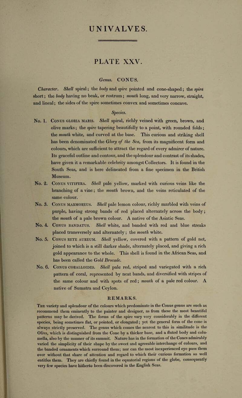 PLATE XXV. Genus. CONUS, Character. Shell spiral; the body and spire pointed and cone-shaped; the spire short; the body having no beak, or rostrum; mouth long, and very narrow, straight, and lineal; the sides of the spire sometimes convex and sometimes concave. Species. No. 1. Conus gloria maris. Shell spiral, richly veined with green, brown, and olive marks; the spire tapering beautifully to a point, with rounded folds; the mouth white, and curved at the base. This curious and striking shell has been denominated the Glory of the Sea, from its magnificent form and colours, which are sufficient to attract the regard of every admirer of nature. Its graceful outline and contour, and the splendour and contrast of its shades, have given it a remarkable celebrity amongst Collectors. It is found in the South Seas, and is here delineated from a fine specimen in the British Museum. No. 2. Conus vitifera. Shell pale yellow, marked with curious veins like the branching of a vine; the mouth brown, and the veins reticulated of the same colour. No. 3. Conus marmoreus. Shell pale lemon colour, richly marbled with veins of purple, having strong bands of red placed alternately across the body; the mouth of a pale brown colour. A native of the Asiatic Seas. No. 4. Conus bandatus. Shell white, and banded with red and blue streaks placed transversely and alternately; the mouth white. No. 5. Conus rete aureum. Shell yellow, covered with a pattern of gold net, joined to which is a still darker shade, alternately placed, and giving a rich gold appearance to the whole. This shell is found in the African Seas, and has been called the Gold Brocade. No. 6. Conus coralloides. Shell pale red, striped and variegated with a rich pattern of coral, represented by neat bands, and diversified with stripes of the same colour and with spots of red; mouth of a pale red colour. A native of Sumatra and Ceylon. REMARKS. The variety and splendour of the colours which predominate in the Conus genus are such as recommend them eminently to the painter and designer, as from these the most beautiful patterns may be derived. The forms of the spire vary very considerably in the different species, being sometimes flat, or pointed, or elongated; yet the general form of the cone is always strictly preserved. The genus which comes the nearest to this in similitude is the Oliva, which is distinguished from the Cone by a thicker base, and a fluted body and colu¬ mella, also by the manner of its summit. Nature has in the formation of the Cones admirably varied the simplicity of their shape by the sweet and agreeable interchange of colours, and the banded ornaments which surround them; nor can the most inexperienced eye pass them over without that share of attention and regard to which their curious formation so well entitles them. They are chiefly found in the equatorial regions of the globe, consequently very few species have hitherto been discovered in the English Seas.