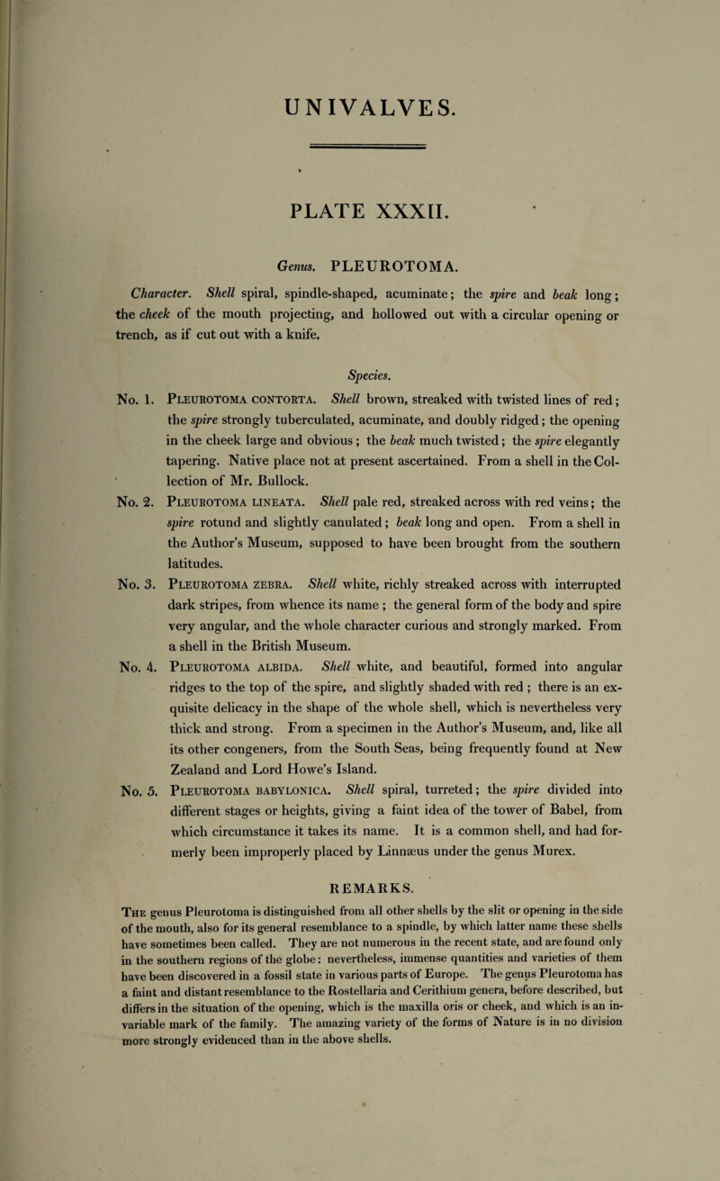 PLATE XXXII. Genus. PLEUROTOMA. Character. Shell spiral, spindle-shaped, acuminate; the spire and beak long; the cheek of the mouth projecting, and hollowed out with a circular opening or trench, as if cut out with a knife. Species. No. 1. Pleurotoma contorta. Shell brown, streaked with twisted lines of red ; the spire strongly tuberculated, acuminate, and doubly ridged; the opening in the cheek large and obvious ; the beak much twisted; the spire elegantly tapering. Native place not at present ascertained. From a shell in the Col¬ lection of Mr. Bullock. No. 2. Pleurotoma lineata. Shell pale red, streaked across with red veins; the spire rotund and slightly canulated ; beak long and open. From a shell in the Authors Museum, supposed to have been brought from the southern latitudes. No. 3. Pleurotoma zebra. Shell white, richly streaked across with interrupted dark stripes, from whence its name ; the general form of the body and spire very angular, and the whole character curious and strongly marked. From a shell in the British Museum. No. 4. Pleurotoma albida. Shell white, and beautiful, formed into angular ridges to the top of the spire, and slightly shaded with red ; there is an ex¬ quisite delicacy in the shape of the whole shell, which is nevertheless very thick and strong. From a specimen in the Author’s Museum, and, like all its other congeners, from the South Seas, being frequently found at New Zealand and Lord Flowe’s Island. No. 5. Pleurotoma babylonica. Shell spiral, turreted; the spire divided into different stages or heights, giving a faint idea of the tower of Babel, from which circumstance it takes its name. It is a common shell, and had for¬ merly been improperly placed by Linnaeus under the genus Murex. REMARKS. The genus Pleurotoma is distinguished from all other shells by the slit or opening in the side of the mouth, also for its general resemblance to a spindle, by which latter name these shells have sometimes been called. They are not numerous in the recent state, and are found only in the southern regions of the globe: nevertheless, immense quantities and varieties of them have been discovered in a fossil state in various parts of Europe. The genus Pleurotoma has a faint and distant resemblance to the Rostellaria and Cerithium genera, before described, but differs in the situation of the opening, which is the maxilla oris or cheek, and which is an in¬ variable mark of the family. The amazing variety of the forms of Nature is in no division more strongly evidenced than in the above shells.