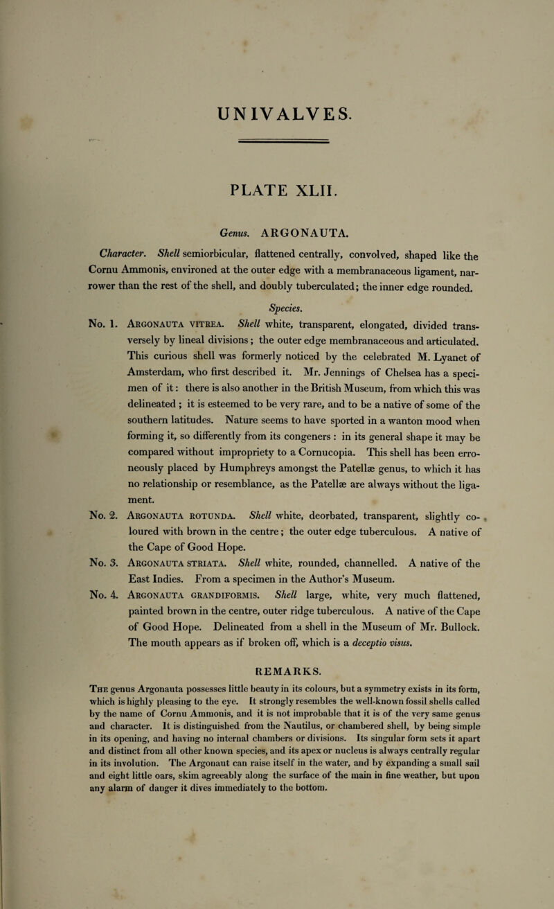 PLATE XLII. Genus. ARGONAUTA. Character. Shell semiorbicular, flattened centrally, convolved, shaped like the Cornu Ammonis, environed at the outer edge with a membranaceous ligament, nar¬ rower than the rest of the shell, and doubly tuberculated; the inner edge rounded. Species. No. 1. Argonauta vitrea. Shell white, transparent, elongated, divided trans¬ versely by lineal divisions; the outer edge membranaceous and articulated. This curious shell was formerly noticed by the celebrated M. Lyanet of Amsterdam, who first described it. Mr. Jennings of Chelsea has a speci¬ men of it: there is also another in the British Museum, from which this was delineated ; it is esteemed to be very rare, and to be a native of some of the southern latitudes. Nature seems to have sported in a wanton mood when forming it, so differently from its congeners : in its general shape it may be compared without impropriety to a Cornucopia. This shell has been erro¬ neously placed by Humphreys amongst the Patellae genus, to which it has no relationship or resemblance, as the Patellae are always without the liga¬ ment. No. 2. Argonauta rotunda. Shell white, deorbated, transparent, slightly co¬ loured with brown in the centre; the outer edge tuberculous. A native of the Cape of Good Hope. No. 3. Argonauta striata. Shell white, rounded, channelled. A native of the East Indies. From a specimen in the Author’s Museum. No. 4. Argonauta grandiformis. Shell large, white, very much flattened, painted brown in the centre, outer ridge tuberculous. A native of the Cape of Good Hope. Delineated from a shell in the Museum of Mr. Bullock. The mouth appears as if broken off, which is a deceptio visus. REMARKS. The genus Argonauta possesses little beauty in its colours, but a symmetry exists in its form, which is highly pleasing to the eye. It strongly resembles the well-known fossil shells called by the name of Cornu Ammonis, and it is not improbable that it is of the very same genus and character. It is distinguished from the Nautilus, or chambered shell, by being simple in its opening, and having no internal chambers or divisions. Its singular form sets it apart and distinct from all other known species, and its apex or nucleus is always centrally regular in its involution. The Argonaut can raise itself in the water, and by expanding a small sail and eight little oars, skim agreeably along the surface of the main in fine weather, but upon any alarm of danger it dives immediately to the bottom.