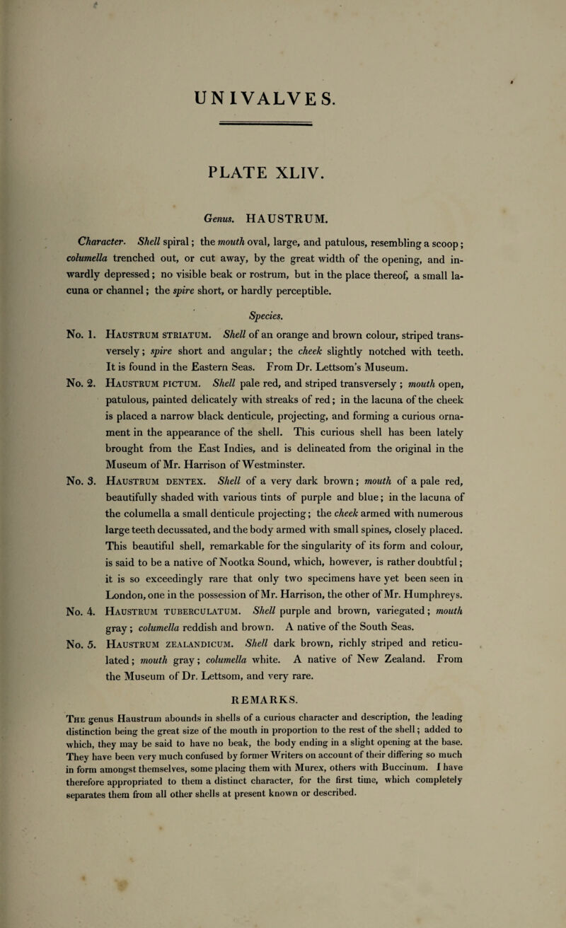 PLATE XLIV. Genus. HAUSTRUM. Character. Shell spiral; the mouth oval, large, and patulous, resembling a scoop; columella trenched out, or cut away, by the great width of the opening, and in¬ wardly depressed; no visible beak or rostrum, but in the place thereof, a small la¬ cuna or channel; the spire short, or hardly perceptible. Species. No. 1. Haustrum striatum. Shell of an orange and brown colour, striped trans¬ versely; spire short and angular; the cheek slightly notched with teeth. It is found in the Eastern Seas. From Dr. Lettsom’s Museum. No. 2. Haustrum pictum. Shell pale red, and striped transversely ; mouth open, patulous, painted delicately with streaks of red; in the lacuna of the cheek is placed a narrow black denticule, projecting, and forming a curious orna¬ ment in the appearance of the shell. This curious shell has been lately brought from the East Indies, and is delineated from the original in the Museum of Mr. Harrison of Westminster. No. 3. Haustrum dentex. Shell of a very dark brown; mouth of a pale red, beautifully shaded with various tints of purple and blue; in the lacuna of the columella a small denticule projecting; the cheek armed with numerous large teeth decussated, and the body armed with small spines, closely placed. This beautiful shell, remarkable for the singularity of its form and colour, is said to be a native of Nootka Sound, which, however, is rather doubtful; it is so exceedingly rare that only two specimens have yet been seen in London, one in the possession of Mr. Harrison, the other of Mr. Humphreys. No. 4. Haustrum tuberculatum. Shell purple and brown, variegated; mouth gray; columella reddish and brown. A native of the South Seas. No. 5. Haustrum zealandicum. Shell dark brown, richly striped and reticu¬ lated; mouth gray; columella white. A native of New Zealand. From the Museum of Dr. Lettsom, and very rare. REMARKS. The s:enus Haustrum abounds in shells of a curious character and description, the leading distinction being the great size of the mouth in proportion to the rest of the shell; added to which, they may be said to have no beak, the body ending in a slight opening at the base. They have been very much confused by former Writers on account of their differing so much in form amongst themselves, some placing them with Murex, others with Buccinum. I have therefore appropriated to them a distinct character, for the first time, which completely separates them from all other shells at present known or described.