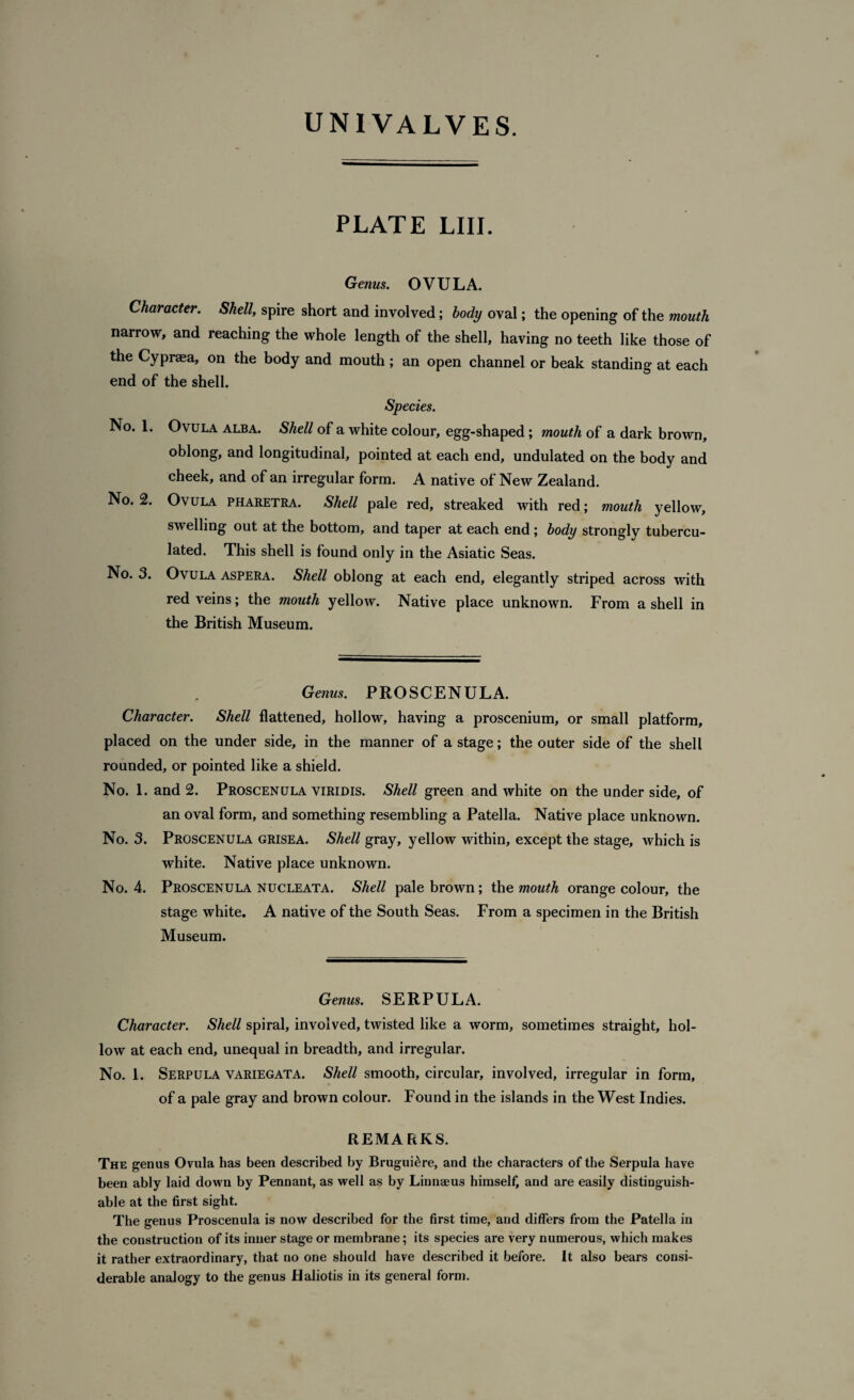 PLATE LIII. Genus. OVULA. Character. Shell, spire short and involved; body oval; the opening of the mouth narrow, and reaching the whole length of the shell, having no teeth like those of the Cypraea, on the body and mouth ; an open channel or beak standing at each end of the shell. Species. No. 1. Ovula alba. Shell of a white colour, egg-shaped; mouth of a dark brown, oblong, and longitudinal, pointed at each end, undulated on the body and cheek, and of an irregular form. A native of New Zealand. No. 2. Ovula pharetra. Shell pale red, streaked with red; mouth yellow, swelling out at the bottom, and taper at each end ; body strongly tubercu- lated. This shell is found only in the Asiatic Seas. No. 3. Ovula aspera. Shell oblong at each end, elegantly striped across with red veins; the mouth yellow. Native place unknown. From a shell in the British Museum. Genus. PROSCENULA. Character. Shell flattened, hollow, having a proscenium, or small platform, placed on the under side, in the manner of a stage; the outer side of the shell rounded, or pointed like a shield. No. 1. and 2. Proscenula viridis. Shell green and white on the under side, of an oval form, and something resembling a Patella. Native place unknown. No. 3. Proscenula grisea. Shell gray, yellow within, except the stage, which is white. Native place unknown. No. 4. Proscenula Nucleata. Shell pale brown; the mouth orange colour, the stage white. A native of the South Seas. From a specimen in the British Museum. Genus. SERPULA. Character. Shell spiral, involved, twisted like a worm, sometimes straight, hol¬ low at each end, unequal in breadth, and irregular. No. 1. Serpula variegata. Shell smooth, circular, involved, irregular in form, of a pale gray and brown colour. Found in the islands in the West Indies. REMARKS. The genus Ovula has been described by Brugui^re, and the characters of the Serpula have been ably laid down by Pennant, as well as by Linnaeus himself, and are easily distinguish¬ able at the first sight. The genus Proscenula is now described for the first time, and differs from the Patella in the construction of its inner stage or membrane; its species are very numerous, which makes it rather extraordinary, that no one should have described it before. It also bears consi¬ derable analogy to the genus Haliotis in its general form.