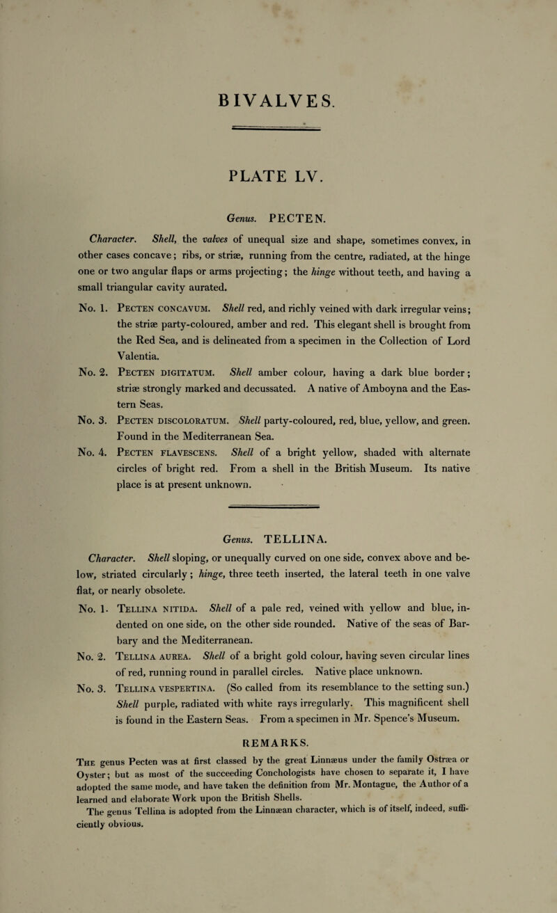 PLATE LV. Genus. P E C T E N. Character. Shell, the valves of unequal size and shape, sometimes convex, in other cases concave; ribs, or striae, running from the centre, radiated, at the hinge one or two angular flaps or arms projecting; the hinge without teeth, and having a small triangular cavity aurated. No. 1. Pecten concavum. Shell red, and richly veined with dark irregular veins; the striae party-coloured, amber and red. This elegant shell is brought from the Red Sea, and is delineated from a specimen in the Collection of Lord Valentia. No. 2. Pecten digitatum. Shell amber colour, having a dark blue border; striae strongly marked and decussated. A native of Amboyna and the Eas¬ tern Seas. No. 3. Pecten discoloratum. Shell party-coloured, red, blue, yellow, and green. Found in the Mediterranean Sea. No. 4. Pecten flavescens. Shell of a bright yellow, shaded with alternate circles of bright red. From a shell in the British Museum. Its native place is at present unknown. Genus. TELLINA. Character. Shell sloping, or unequally curved on one side, convex above and be¬ low, striated circularly; hinge, three teeth inserted, the lateral teeth in one valve flat, or nearly obsolete. No. 1. Tellina nitida. Shell of a pale red, veined with yellow and blue, in¬ dented on one side, on the other side rounded. Native of the seas of Bar¬ bary and the Mediterranean. No. 2. Tellina aurea. Shell of a bright gold colour, having seven circular lines of red, running round in parallel circles. Native place unknown. No. 3. Tellina vespertina. (So called from its resemblance to the setting sun.) Shell purple, radiated with white rays irregularly. This magnificent shell is found in the Eastern Seas. From a specimen in Mr. Spence’s Museum. REMARKS. The genus Pecten was at first classed by the great Linnaeus under the family Ostraea or Oyster; but as most of the succeeding Conchologists have chosen to separate it, I have adopted the same mode, and have taken the definition from Mr. Montague, the Author of a learned and elaborate Work upon the British Shells. The genus Tellina is adopted from the Linnaean character, which is of itself, indeed, suffi¬ ciently obvious.