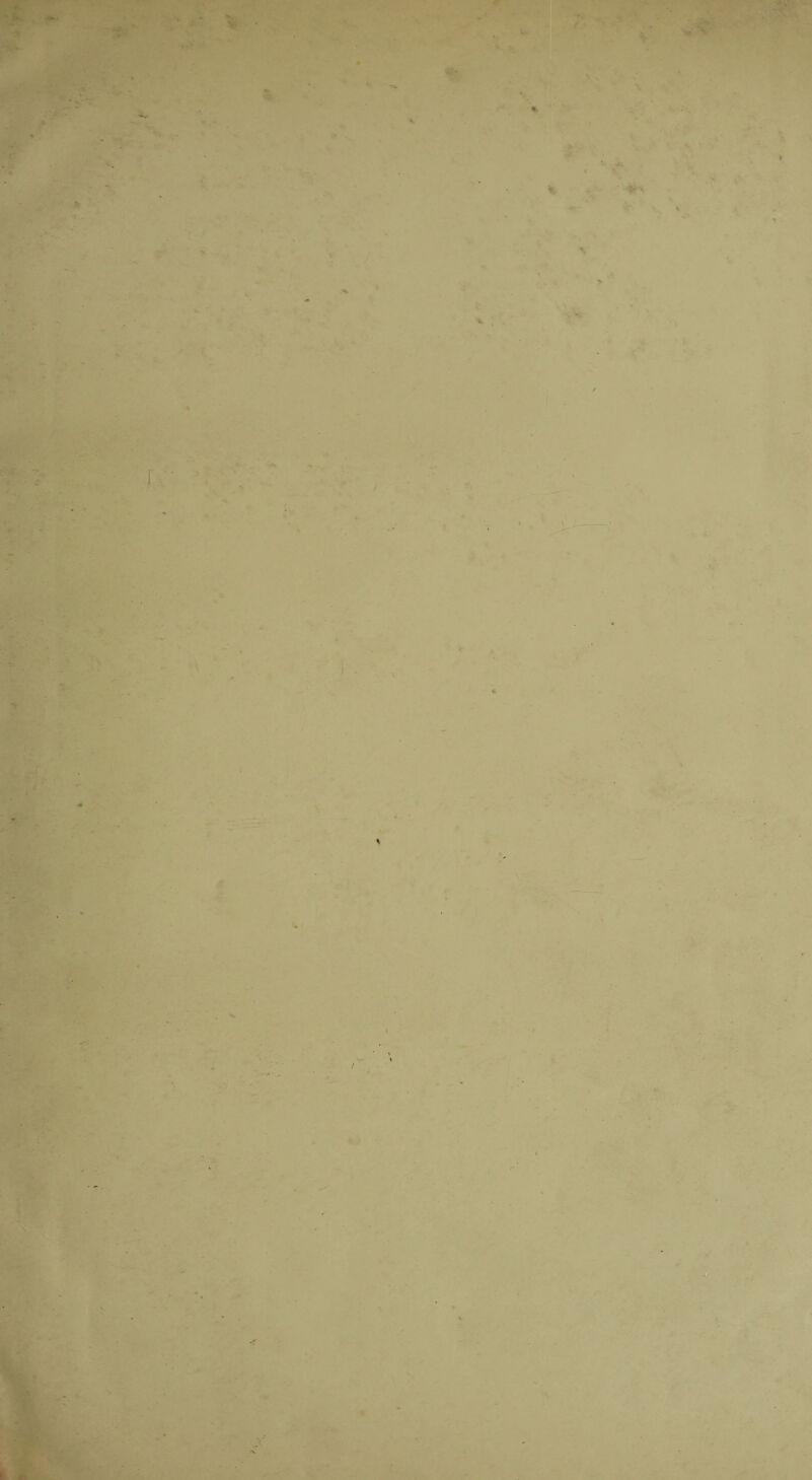 -' * ■ v ' * ' . 4T • f v t • > J*. ■ •; T 1 % . /. ) ■ . > . ■ • r* %