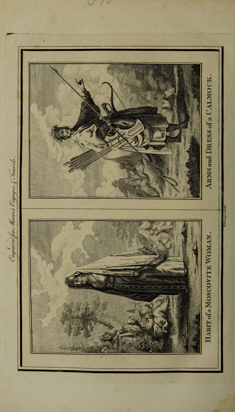 Habit ofaMoscoviTE Woman. Arms and Dress of a Calmock