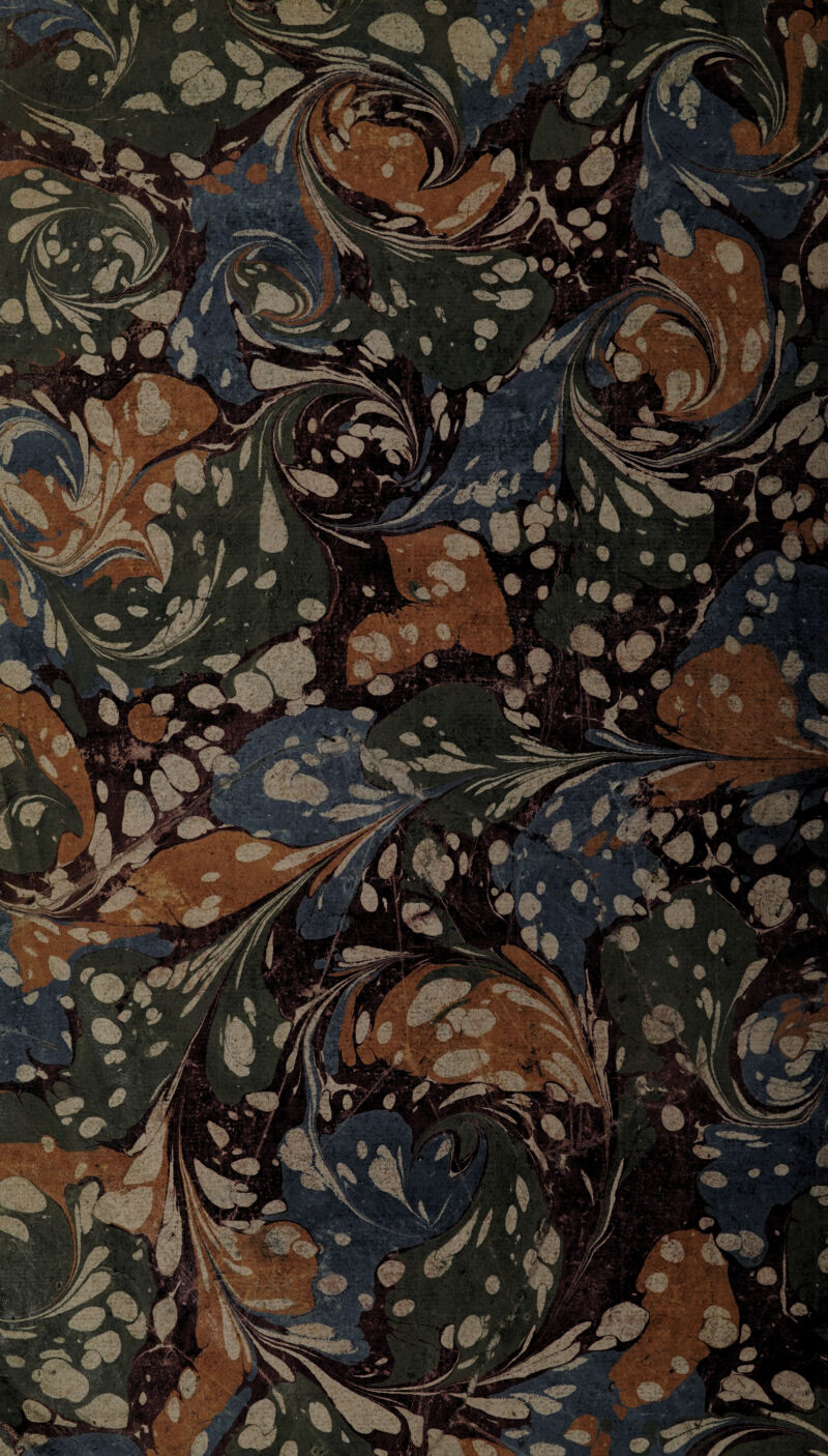 f- ' aly Mv 1 ••i' -y»-' (‘ a{j KW . , i 1 lr ” \ sSaL^Isfb pwSI ■