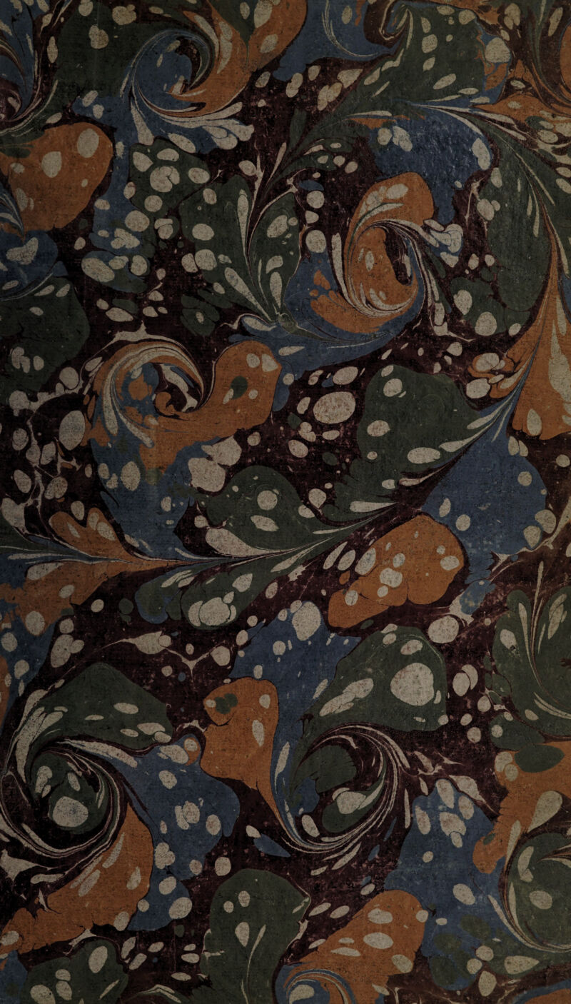 XfitA -'•■iJ^ig.t i'|M r^l|| \XyJf| Bt BKKflMlvW . s$?S$£|* Ji JKctIv *V>? ' ifjfc- ; :4: