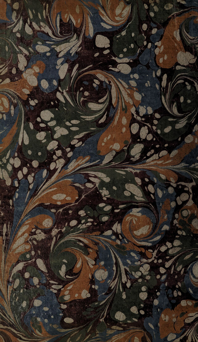 No text description is available for this image