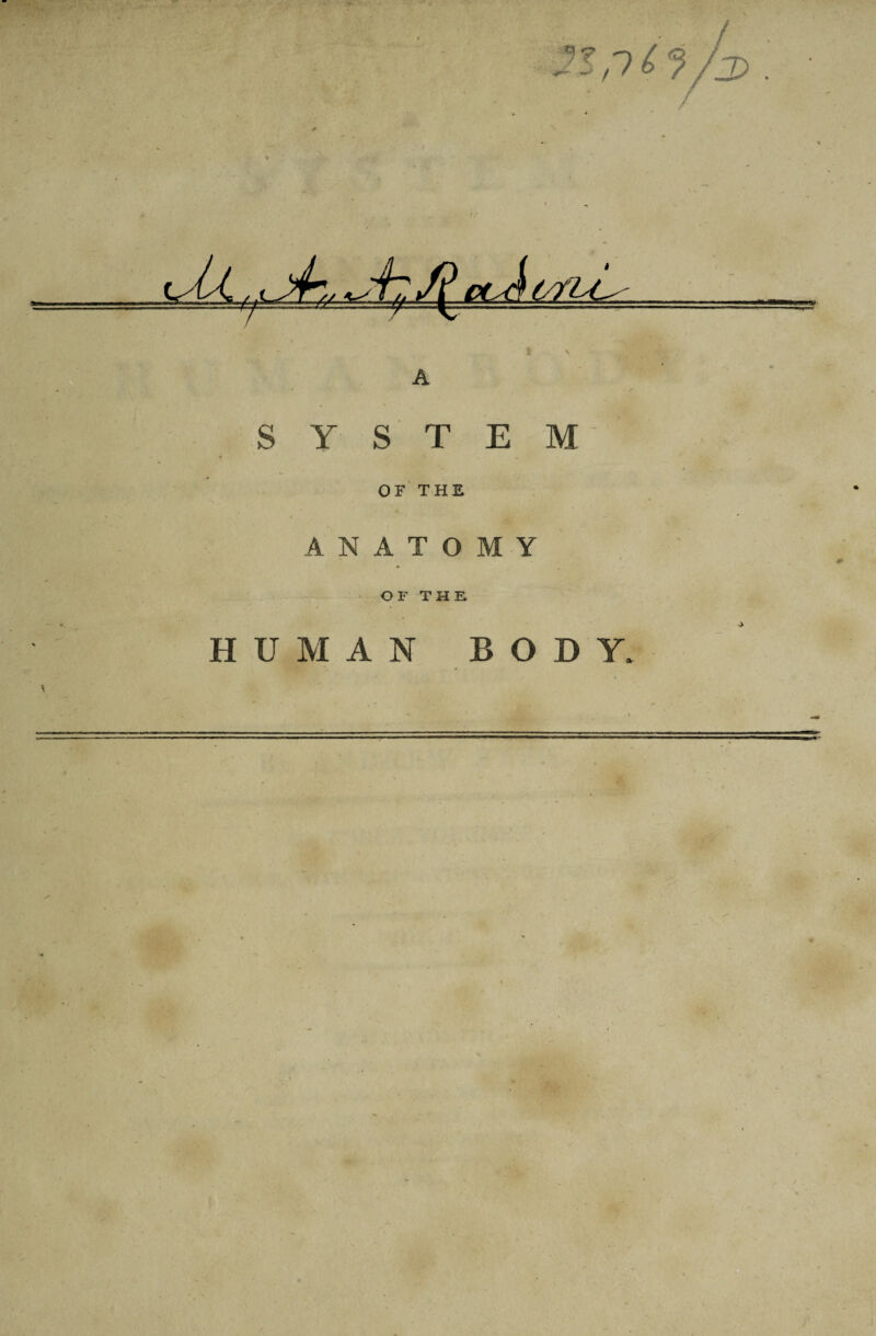 npi'j/si. SYSTEM OF THE ANATOMY OF THE