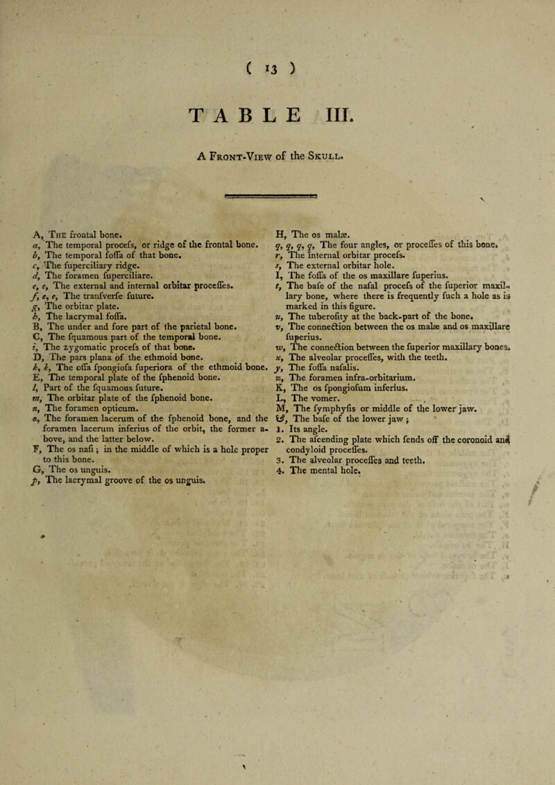 ( »3 ) TABLE III. A Front-View of the Skull. A, The frontal bone. a, The temporal procefs, or ridge of the frontal bone. b, The temporal fofla of that bone. ct The fuperciliary ridge. cl, The foramen fuperciliare. e, e, The external and internal orbitar procefles. f, e, e, The tranfverfe future. g, The orbitar plate. h, The lacrymal fofla. B, The under and fore part of the parietal bone. C, The fquamous part of the temporal bone. i, The zygomatic procefs of that bone. D, The pars plana of the ethmoid bone. ky k. The ofla fpongiofa fuperiora of the ethmoid bone. E, The temporal plate of the fphenoid bone. l, Part of the fquamous future. m, The orbitar plate of the fphenoid bone. Tty The foramen opticum. <?, The foramen lacerum of the fphenoid bone, and the foramen lacerum inferius of the orbit, the former a- bove, and the latter below. F, The os nafi ; in the middle of which is a hole proper to this bone. G, The os unguis. p. The lacrymal groove of the os unguis. # H, The os malse. q. q, q, q, The four angles, or procefles of this bone. r. The internal orbitar procefs. s. The external orbitar hole. I, The fofla of the os maxillare fuperius. t. The bafe of the nafal procefs of the fuperior maxiL lary bone, where there is frequently fuch a hole as is marked in this figure. u. The tuberofity at the back-part of the bone. v. The connexion between the os malae and os maxillare fuperius. w. The connexion between the fuperior maxillary bones. x. The alveolar procefles, with the teeth. y. The fofla nafalis. The foramen infra-orbitarium. K, The os fpongiofum inferius. L, The vomer. , - M, The fymphyfis or middle of the lower jaw. \3y The bafe of the lower jaw ; 1. Its angle. 2. The afcending plate which fends off the coronoid an4 condyloid procefles. 3. The alveolar procefles and teeth. 4. The mental hole.