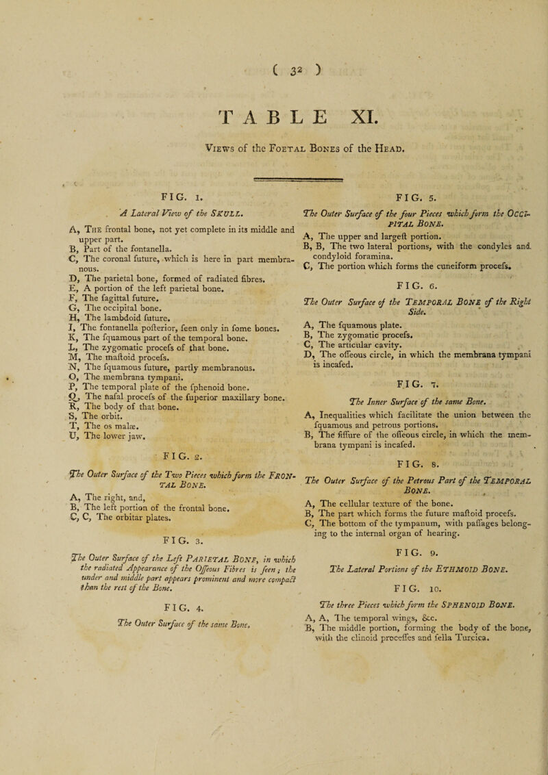 C 32 ) f. | TABLE XI. Views of the Foetal Bones of the Head. . <. FIG. l. A Lateral View of the SKULL. A, The frontal bone, not yet complete in its middle and upper part. B, Part of the fontanella. C, The coronal future, which is here in part membra¬ nous. D, The parietal bone, formed of radiated fibres. E, A portion of the left parietal bone. F, The fagittal future. G, The occipital bone. H, The lambdoid future. I, The fontanella pofterior, feen only in fome bones. K, The fquamous part of the temporal bone. L, The zygomatic procefs of that bone. M, The maftoid procefs. N, The fquamous future, partly membranous. O, The membrana tympani. P, The temporal plate of the fphenoid bone. The nafal procefs of the fuperior maxillary bone. R, The body of that bone. S, The orbit. T, The os make. U, The lower jaw. FIG. 2. The Outer Surface of the Two Pieces which form the FRON¬ TAL Bone. A, The right, and, B, The left portion of the frontal bone. C, C, The orbitar plates. FIG. 3. The Outer Surface of the Left PARIETAL BONE, in which the radiated Appearance of the Ojfeous Fibres is feen; the under and middle part appears prominetit and more compact than the rest of the Bone. FIG. 4. The Outer Surface of the same Bone„ FIG. 5. The Outer Surface of the four Pieces which form the OCCI¬ PITAL Bone. A, The upper and largeft portion. B, B, The two lateral portions, with the condyles and condyloid foramina. C, The portion which forms the cuneiform procefs. FIG. 6. The Outer Surface of the TEMPORAL BONE of the Right Side. A, The fquamous plate. B, The zygomatic procefs. C, The articular cavity. D, The ofleous circle, in which the membrana tympani is incafed. FIG. 7. The Inner Surface of the same Bone. A, Inequalities which facilitate the union between the fquamous and petrous portions. B, The fiflure of the ofleous circle, in which the mem¬ brana tympani is incafed. FIG. 8. The Outer Surface of the Petrous Part of the TEMPORAL Bone. A, The cellular texture of the bone. B, The part which forms the future maftoid procefs. G, The bottom of the tympanum, with paflages belong¬ ing to the internal organ of hearing. FIG. 9. The Lateral Portions of the ETHMOID BONE. FIG. 10. The three Pieces which form the SPHENOID BONE. A, A, The temporal wings, &c. B, The middle portion, forming the body of the bone, with the clinoid procelfes and fella Turcica.