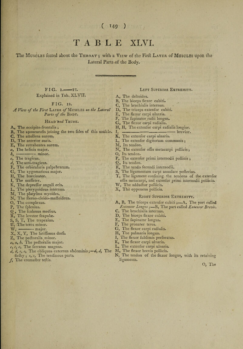 ( *49 ) TABLE XLVI. \ The Muscles feated about the Throat ; with a View of the Firft Layer of Muscles upon the Lateral Parts of the Body. FIG. l.-17. Explained in Tab. XLVII. FIG. 18. A View of the First Layer of Muscles on the Lateral Parts of the Body. Head tind Trunk. A, The occipito-frontalis ; B, The aponeurofis joining the two fides of this mufcle. C, The attollens aurem. D, The anterior auris. E, The retrahentes aurem. ay The helicis major. by-minor. c, The tragicus. dy The anti-tragicus. F, The orbicularis palpebrarum. G, The zygomaticus major. H, The buccinator. I, The mafleter. K, The depreffor anguli oris. L, The pterygoideus internus. M, The platyfma myoides. N, The flerno-cleido-maftoideus. O, The complexus. P, The fplenius. 0_, The fealenus medius. R, The levator fcapulae. S, S, T, The trapezius. U, The teres minor. W, -major. X, X, Y, The latiffimus dorfi. Z, The pe£loralis (minor. a, a, h. The pe&oralis major. c, c, c, The ferratus magnus. d, dy e, c, The obliquus extemus abdominis;—d, df The fiefhy ; e, e, The tendinous parts. f The cremafter teflis. Left Superior Extremity. A, The deltoides. B, The biceps flexor cubiti. C, The brachialis internus. D, The triceps extenfor cubiti. E, The flexor carpi ulnaris. F, The fupinator radii longus. G, The flexor carpi radialis. H, H, The extenfor carpi radialis longior. I, -brevior. K, The extenfor carpi ulnaris. L, The extenfor digitorum communis ; M, Its tendon. N, The extenfor offis metacarpi pollicis ; O, Its tendon. P, The extenfor primi internodii pollicis ; Q, Its tendon. R, The tendo fecundi internodii. S, The ligamentum carpi annulare poflerius. T, The ligament confining the tendons of the extenfor oflis metacarpi, and extenfor primi internodii pollicis. W, The addu£tor pollicis. X, The oppenens pollicis. Right Superior Extremity. A, B, The triceps extenfor cubiti ;—A, The part called F.xtensor Longus ■—B, The part called Extensor Brevis. C, The brachialis internus. D, The biceps flexor cubiti. E, The fupinator longus. F, The pronator teres. G, The flexor carpi radialis. H, The palmaris longus. I, The flexor fublimis perforatus. K, The flexor carpi ulnaris. L, The extenfor carpi ulnaris. M, The flexor brevis pollicis. N, The tendon of the flexor longus, with its retaining ligaments, O, The