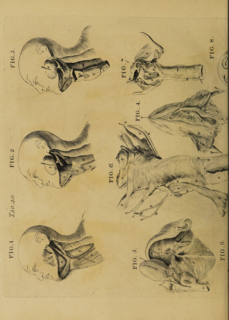 FiG.i. Tab..40. FIG. 2 FIG.