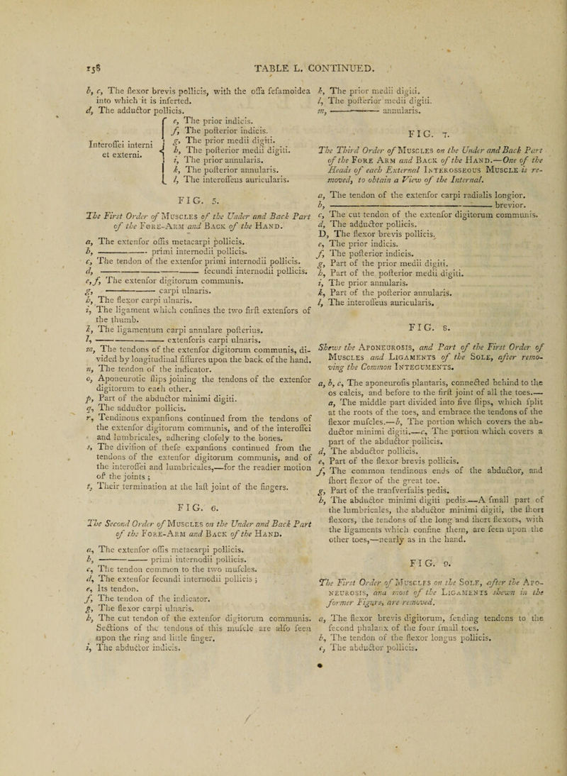by c, The flexor brevis pollicis, with the ofla fefamoidea into which it is inferted. dt The adduftor pollicis. f e, The prior indicis. j f The poftei'ior indicis. prior medii digiti. pofterior medii digiti. prior annularis. J k, The pofterior annularis. {_ /, The interofleus auricularis. FIG. 5. Ihe First Order of Muscles of the Under and Bach Part of the Fore-Arm and Back of the Hand. a, The extenfor oflls metacarpi pollicis. by -—-primi internodii pollicis. c, The tendon of the extenfor primi internodii pollicis. d, ---— fecundi internodii pollicis. e, f, The extenfor digitorum communis. g, —---carpi ulnaris. h, The flexor carpi ulnaris. z, The ligament which confines the twTo firft extenfors of the thumb. k, The llgamentum carpi annulare pofterius. —---— extenforis carpi ulnaris. 7ii} The tendons of the extenfor digitorum communis, di¬ vided by longitudinal fiflures upon the back of the hand. iiy The tendon of the indicator. o, Aponeurotic flips joining the tendons of the extenfor digitorum to each other. p, Part of the abduHor minimi digiti. gg The adductor pollicis. r, Tendinous expanfions continued from the tendons of the extenfor digitorum communis, and of the interoflei and lumbricales, adhering clofely to the bones. The divifion of thefe expanfions continued from the tendons of the extenfor digitorum communis, and of the interoflei and lumbricales,—for the readier motion of the joints ; t} Their termination at the laft joint of the fingers. FIG. 6. 2 he Second Order of Muscles on the Under and Back Part of the Fore-Arm and Back of the Hand. a, The extenfor oflis metacarpi pollicis. by ——-primi internodii pollicis. c, The tendon common to the two mufcles. d, The extenfor fecundi internodii pollicis ; ?y Its tendon. f7 The tendon of the indicator. g, The flexor carpi ulnaris. h, The cut tendon of the extenfor digitorum communis. Sections of the tendons of this mufcle are alfo feen aipon the ring and little finger. z’, The abdudtor indicis. h. The prior medii digiti. /, The pofterior medii digiti. m, --— annularis. FIG. 7. The Third Order o/'Muscles on the Under and Back Part of the Fore Arm and Back of the Hand.—One of the Heads of each External Irtekosseous Muscle is re¬ moved, to obtain a View of the Internal. a, The tendon of the extenfor carpi radialis longior. by ---————-brevior. Cy The cut tendon of the extenfor digitorum communis. a, The adductor pollicis. D, The flexor brevis pollicis. e. The prior indicis. f The pofterior indicis. gy Part of the prior medii digiti. h. Part of the pofterior medii digiti. i, The prior annularis. i, Part of the pofterior annularis. 1, The interofleus auricularis. FIG. S. Shews the Aponeurosis, and Part of the First Order of Muscles and Ligaments of the Sole, after remo¬ ving the Common Integuments. a, by Cy The aponeurofis plantains, connected behind to the os calcis, and before to the firft joint of all the toes- a, The middle part divided into five flips, which fplit at the roots of the toes, and embrace the tendons of the flexor mufcles.—b, The portion which covers the ab- dudtor minimi digiti.—c, The portion which covers a part of the abductor pollicis. d, The abdudtor pollicis. ey Part of the flexor brevis pollicis. fy The common tendinous ends of the abdudtor, and fliort flexor of the great toe. g, Part of the tranfverfalis pedis. iby The abdu£tor minimi digiti pedis..—-A fmall part of the lumbricales, the abductor minimi digiti, the ihort flexors, the tendons of the long and fliort flexors, with the ligaments which confine them, are feen upon the other toes,—-nearly as in the hand. FIG. 9. The First Order o/’Muscles on the Sole, after the Apo¬ neurosis, ana most of the Ligaments shewn in the former Figure, are removed. ciy The flexor brevis digitorum, fending tendons to the fecond phalanx of the four fmall toes. by The tendon of the flexor longus pollicis. c} The abduttor pollicis. Interoflei interni et externi. « *1 g. The h. The i. The