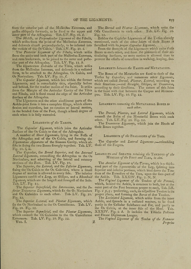 / I from the anterior part of the, Malleolus Externus, and pafifes obliquely forwards, to be fixed to the upper and outer part of the Astragalus. Tab. LV. Fig. 10. k. The Middle, or Perpendicular Ligament of the Fibula, which arifes from the point of the Malleolus Externus, and defcends almoit perpendicularly, to be inferted into the outfide of the Os Calcis. Tab. LV. Fig. 10. i. The Posterior Ligament of the Fibula, which arifes from the under and back part of the Malleolus Externus, and runs backwards, to be joined to the outer and polle- rior part of the Aftragalus. Tab. LV. 'Fig. 11. h. The Ligamentum Beltoides of the Tibia, which arifes from the Malleolus Internus, and defcends in a radiated form, to be attached to the Aftragalus, Os Calcis, and Os Naviculare. Tab. LV. Fig. 11. f. The Capsular Ligament, which lies within the former Ligaments, and is remarkably thin, efpecially before and behind, for the readier motion of the Joint. It arifes from the Margin of the Articular Cavity of the Tibia and Fibula, and is fixed round the edge of the Articular Surface of the Aftragalus. The Ligaments and the other conftituent parts of the Ankle-joint form it into a complete Hinge, which allows flexion and exteufion, but no rotation or lateral motion, in the bended ft ate of the Foot, though a fmall degree of each when it is fully extended. • Ligaments of the Tarsus. The Dorsal and Plantar Ligaments, which unite the CnTa Cuneiformia to each other. Tab. LV. Fig. 10. Fig. 12. B elides the Capfular Ligaments of the Tarfus already mentioned, each of the other Joints of theie Bones is furnifhed with its proper Capsular Ligament. From the ftrength of the Ligaments which unite thefe Bones to each other, and from the plainnefs of their ar¬ ticulating Surfaces, no more motion is allowed than to prevent the effects of ccncufiion in walking, leaping, &c. Ligaments between the Tarsus and Metatarsus. The Bones of the Metatarfus are fixed to thofe of the Tarfus by Capsular, and numerous other Ligaments, which are called Dorsal, Plantar, Lateral, according to their fituations ;—and Straight, Oblique, or Transverse, according to their directions. The nature of this Joint is the fame with that between the Carpus and Metacar¬ pus. Tab. LV. Fig. 10. Fig. 12- Ligaments connecting the Metatarsal Bones to each other. The Dorsal', Plantar, and Lateral Ligaments, which conned the Bafes of the Metatarfal Bones with each other. Tab. LV. Fig. 10. Fig. 12. The Transverse Ligaments, which join the Heads of The Capsular Ligament, which joins the Articular Surface of the Os Calcis to that of the Aftragalus. A number of Short Ligaments, lying in the Folia of the Aftragalus and of the Os Calcis, and forming the Ligamentous Apparatus of the Sinuous Cavity, which af- fifts in fixing the two Bones ftrongly together. Tab. LV. Fig. 10. /, m. The Capsular, the Broad Superior, and the Internal Lateral Ligaments, connecting the Aftragalus to the Os Naviculare, and admitting of the lateral and rotatory motions of the Foot. Tab. LV. Fig. 10. The Superior, the Lateral, and the Inferior Ligaments, fixing the Os Calcis to the Os Cuboides, where a fmall degree of motion is allowed to every fide. The inferior Ligaments confifl of a Long, an Oblique, and a Rhomboid Ligament, which are the longeiLand ftrongefl of the Sole. Tab. LV. Fig. 12. The Superior Superficial, the Interosseous, and the In¬ ferior Transverse Ligaments, which fix the Os Naviculare and Os Cuboides to each ether. Tab. LV. Fig. 10. Fig. 12. The Superior Lateral> and Plantar Ligaments, which fix the Os Naviculare to the Os Cuneiforme. Tab. LV. Fig. ]G. Fig. 12. The Superior Superficial, and the Plantar Ligaments, which conned; the Os Cuboides to the Os Cuneiforme Externum. Tab. LV, Fig. 10. Fig. 12. VOL. I. thefe Bones together. Ligaments of the Phalanges of the Toes. i The Capsular and Lateral Ligamentsrefembling thofe of the Fingers. Ligaments and Sheaths retaining the Tendons of the Muscles of the Foot and Toes, in situ. The Annular Ligament of the Tarsus, which is a thick¬ ened part of the Aponeurofis of the Leg, fplitting- into fuperior and Inferior portions, which bind down thif Ten¬ dons of the Extenfors of the Foes, upon the fore-part of the Ankle. Tab. XXXIV. Fig. 2. N, N. The Vaginal Ligament of the Tendons of the Peronei, which, behind the Ankle, is common to both, but at the outer part of the Foot becomes proper to each, 'Fab. LIE Fig. 2 p, q ; preferving, each, its refpedive Tendon Frits proper place, and forming the Bursa of that Tendon. 1 he Laciniated Ligament, which arifes from the inner Ankle, and fpreads in a radiated manner, to be fixed partly in the Cellular Subfiance and Fat, and partly to the Os Calcis, at the inner fide of the Heel. Tab. XXXIV. Fig. 2. k. It inclofes the Tibialis Poflicus and Flexor Digitorum Longus. The Vaginal Ligament of the Tendon of the Kxtensor A Proprius
