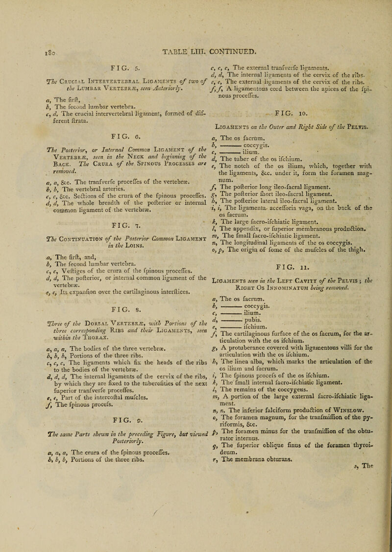 FIG. 5. The Crucial Intervertebral Ligaments of two of the Lumbar Vertebra, seen Anteriorly. a, The fird, b, The fecund lumbar vertebra. c, el. The crucial intervertebral ligament, formed of dif¬ ferent ftrata. FIG. 6. The Posterior, or Internal Common Ligament of the Vertebra:, seen in the Neck and beginning of the Back. The Crura of the Spinous Processes are removed. a, a, &c. The tranfverfe precedes of the vertebrae. b, b, The vertebral arteries. c, c, See. Se&ions of the crura of the fpinous precedes. d, d, The whole breadth of the polterior or internal common ligament of the vertebrae. FIG. 7. The Continuation of the Posterior Common Ligament in the Loins. 1 a, The fird, and, b, The fecond lumbar vertebra. c, c, Veftiges of the crura of the fpinous precedes. d} d, The polterior, or internal common ligament of the vertebrae. Its expanfion over the cartilaginous interdices. FIG. 8. Three of the Dorsal Vertebra, with Portions of the three corresponding Ribs and their Ligaments, seen within the Thorax. a., a, a, The bodies of the three vertebrae. c>, b, b, Portions of the three ribs. c, c, c, The ligaments which fix the heads of the ribs to the bodies of the vertebrae. d, d, The internal ligaments of the cervix of the ribs, by which they are fixed to the tuberofities of the next fuperior tranfverfe precedes, e} e, Part of the intercodal mufcles. f The fpinous procefs. FIG. 9. The same Parts shewn in the preceding Figuret but viewed Posteriorly. a, «, a. The crura of the fpinous precedes. b, b} b, Portions of the three ribs. c, c, c. The external tranfverfe ligaments. d, d, The internal ligaments of the cervix of the ribs. e, e, The external ligaments of the cervix of the ribs. ff A ligamentous cord between the apices of the fpi¬ nous precedes. FIG. 10. Ligaments on the Outer and Right Side of the Pelvis, a, The os facrum. b, ---coccygis. c, — ■ ilium. d, The tuber of the os ifehium. e, The notch of the os ilium, which, together with the ligaments, &c. under it, form the foramen mag¬ num. f The poderior long ileo-facral ligament. g, The poderior fnort ileo-facral ligament. Z>, The poderior lateral ileo-facral ligament. i, iy The ligamenta- accedbria vaga, on the back of the os facrum. k, The large facro-ifchiatic ligament. /, The appendix, or fuperior membranous production. m, The fmall facro-ifchiatic ligament. », The longitudinal ligaments of the os coccygis. 0, p, The origin of fome of the mufcles of the thigh. FIG. 11. Ligaments seen in the Left Cavity of the Pelvis ; the Right Os Innominatum being removed. ay The os facrum. by ———- coccygis. c, -- ilium. dy —-— pubis. e, -—- ifehium. f The cartilaginous furface of the os facrum, for the ar¬ ticulation with the os ifehium. gy A protuberance covered with ligamentous villi for the articulation with the os ifehium. h, The linea alba, which marks the articulation of the os ilium and facrum. i, The fpinous procefs of the os ifehium. k, The fmall internal facro-ifchiatic ligament. /, The remains of the coccygeus. m7 A portion of the large external facro-ifchiatic liga¬ ment. n, n. The inferior falciform produ&ion of Winslow. 0, The foramen magnum, for the tranfmidion of the py¬ riform is, &c. p3 The foramen minus for the tranfmidion of the obtu¬ rator internus. j, The fuperior oblique linus of the foramen thyroi- deum. r, The membrana cbturans.