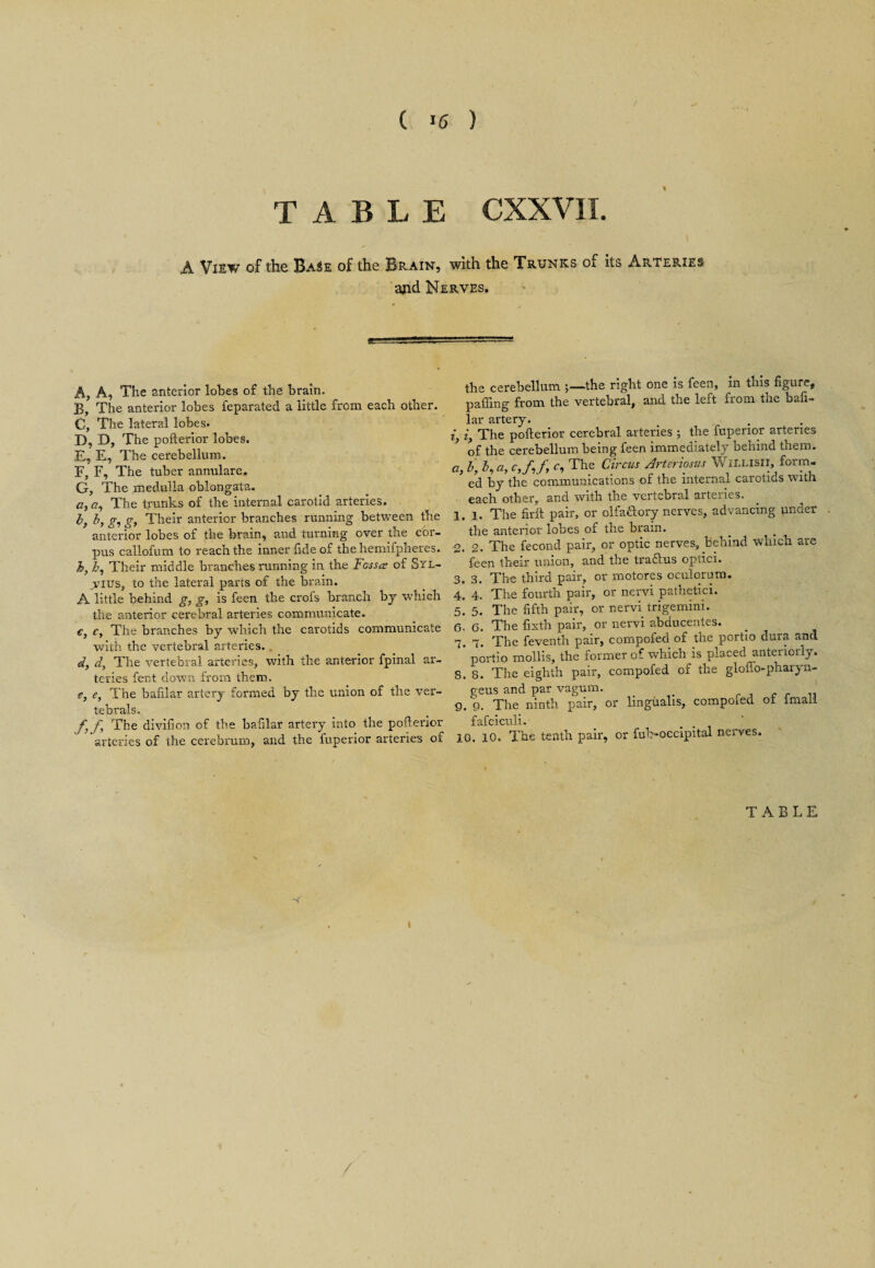 TABLE CXXVII. A View of the Base of the Brain, with the Trunks of its Arteries and Nerves. A, A, The anterior lobes of the brain. B, The anterior lobes feparated a little from each other. C, The lateral lobes. D, D, The pollerior lobes. E, E, The cerebellum. F, F, The tuber annulare. G, The medulla oblongata. a, <?, The trunks of the internal carotid arteries. h} b, g, g. Their anterior branches running between the anterior lobes of the brain, and turning over the cor¬ pus callofum to reach the inner fide of the hemifpheres. h, h, Their middle branches running in the Fossa of 5yl- yius, to the lateral parts of the brain. A little behind g, g, is feen the crofs branch bj which the anterior cerebral arteries communicate. €, c, The branches by which the carotids communicate with the vertebral arteries. . d, d, The vertebral arteries, with the anterior fpinal ar¬ teries fent down from them. e, e, The bafilar artery formed by the union of the ver- tebrals. f, f. The divifion of the bafilar artery into the pollerior arteries of the cerebrum, and the fuperior arteries of the cerebellum -the right one is feen, in this figure, palling from the vertebral, and the leit from tne bafi¬ lar artery. iy iy The pollerior cerebral arteries ; the fuperior arteries ’ of the cerebellum being feen immediately behind them. а, b, b, a, c,frf, c, The Circus Arteriosus WiLLisir, form- * ed by the communications of the internal carotids with each other, and with the vertebral arteries. 1. i. The firlt pair, or olfa&ory nerves, advancing under the anterior lobes of the brain. 2. 2. The fecond pair, or optic nerves, behind which are feen their union, and the traftus optici. 3. 3. The third pair, or motores oculorum. 4. 4. The fourth pair, or nervi pathetici. 5. 5. The fifth pair, or nervi trigemini. б. 6. The fixth pair, or nervi abducentes. 7. 7. The feventh pair, compofed of the portio dura and * portio mollis, the former of which is placed anteriorly. 8. 8. The eighth pair, compofed of the gloffo-pharyn- geus and par vagum. p. p. The ninth pair, or lmgualis, compoied ot iniail fafciculi. 10. 10. The tenth pair, or fub-occipital neives.