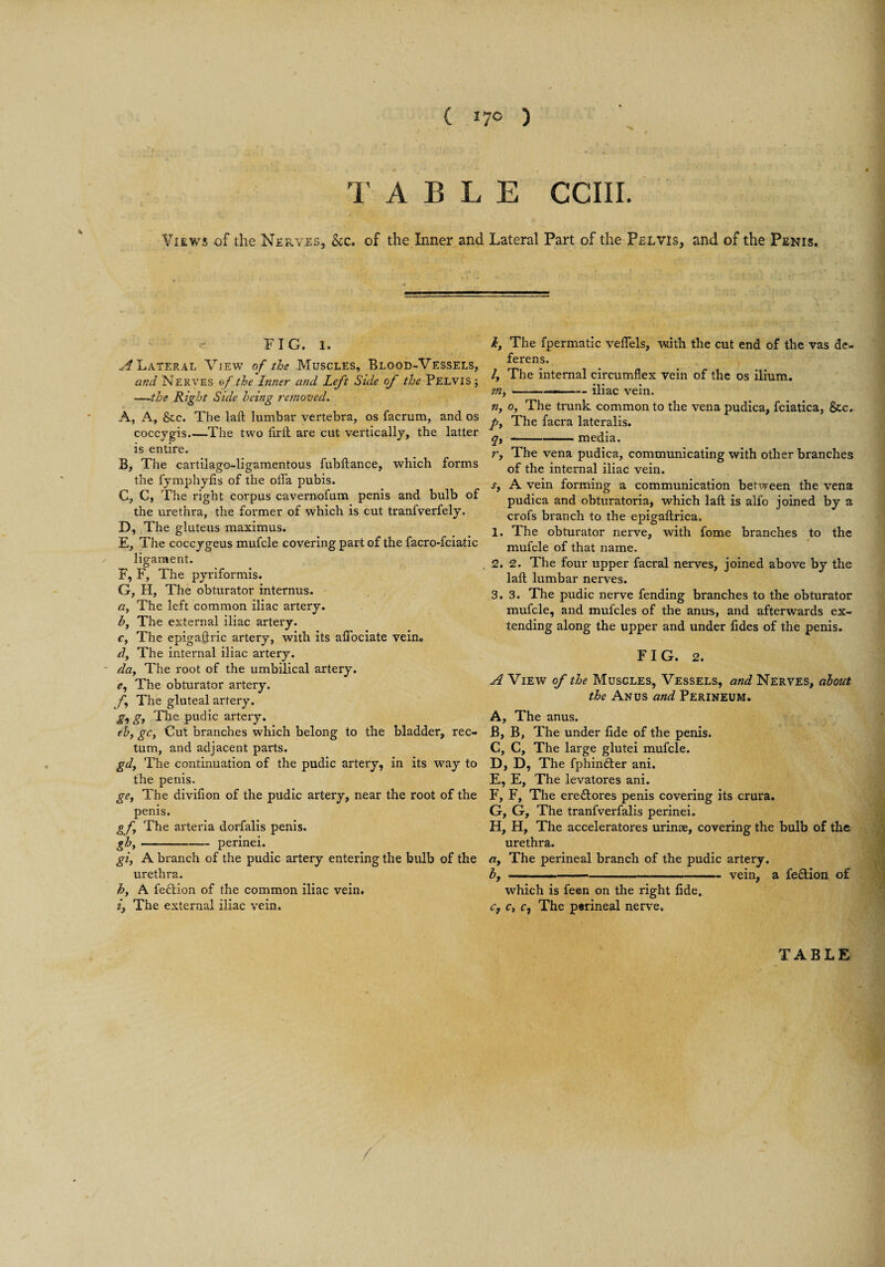 ( *7° ) T ABLE CCIII. Views of the Nerves, &c. of the Inner and Lateral Part of the Pelvis, and of the Penis, \ FIG. 1. A? Lateral View of the Muscles, Blood-Vessels, and Nerves of the Inner and Left Side of the PELVIS; —-the Right Side being removed. A, A, &c. The laft lumbar vertebra, os facrum, and os coccygis_The two firft are cut vertically, the latter is entire. B, The cartilago-ligamentous fubftance, which forms the fymphyfis of the offa pubis. C, C, The right corpus cavernofum penis and bulb of the urethra, the former of which is cut tranfverfely. D, The gluteus maximus. E, The coccygeus mufcle covering part of the facro-fciatic ligament. F, F, The pyriformis. G, H, The obturator internus. a, The left common iliac artery. bf The external iliac artery. Cy The epigaftric artery, with its afiociate vein, dy The internal iliac artery. da. The root of the umbilical artery, r, The obturator artery. f The gluteal artery. g9 g, The pudic artery. eh, gc, Cut branches which belong to the bladder, rec¬ tum, and adjacent parts. gd, The continuation of the pudic artery, in its way to the penis. ge, The divifion of the pudic artery, near the root of the penis. gf The arteria dorfalis penis. gh, -— perinei. gi, A branch of the pudic artery entering the bulb of the urethra. h, A fedtion of the common iliac vein. i. The external iliac vein. i, The fpermatic veflels, with the cut end of the vas de¬ ferens. /, The internal circumflex vein of the os ilium. m, --iliac vein. n, o, The trunk common to the vena pudica, fciatica, See. p. The facra lateralis. qt-media. r, The vena pudica, communicating with other branches of the internal iliac vein. s, A vein forming a communication between the vena pudica and obturatoria, which laft is alfo joined by a crofs branch to the epigaftrica. 1. The obturator nerve, with fome branches to the mufcle of that name. 2. 2. The four upper facral nerves, joined above by the laft lumbar nerves. 3. 3. The pudic nerve fending branches to the obturator mufcle, and mufcles of the anu-s, and afterwards ex¬ tending along the upper and under lides of the penis. FIG. 2. A View of the Muscles, Vessels, and Nerves, about the Anus and Perineum. A, The anus. B, B, The under fide of the penis. C, C, The large glutei mufcle. D, D, The fphindter ani. E, E, The levatores ani. F, F, The ere (Stores penis covering its crura. G, G, The tranfverfalis perinei. H, H, The acceleratores urinae, covering the bulb of the urethra. a, The perineal branch of the pudic artery. by ———.--vein, a fe£tion of which is fe©n on the right fide. Cy Cy c9 The perineal nerve. TABLE