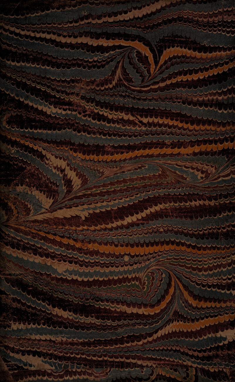 'rw.i'!.*. fePKS •{ - i f I y i * ' 1 A. /i. JiW^ii f k ' jW*f. B lw J»j l ' 1