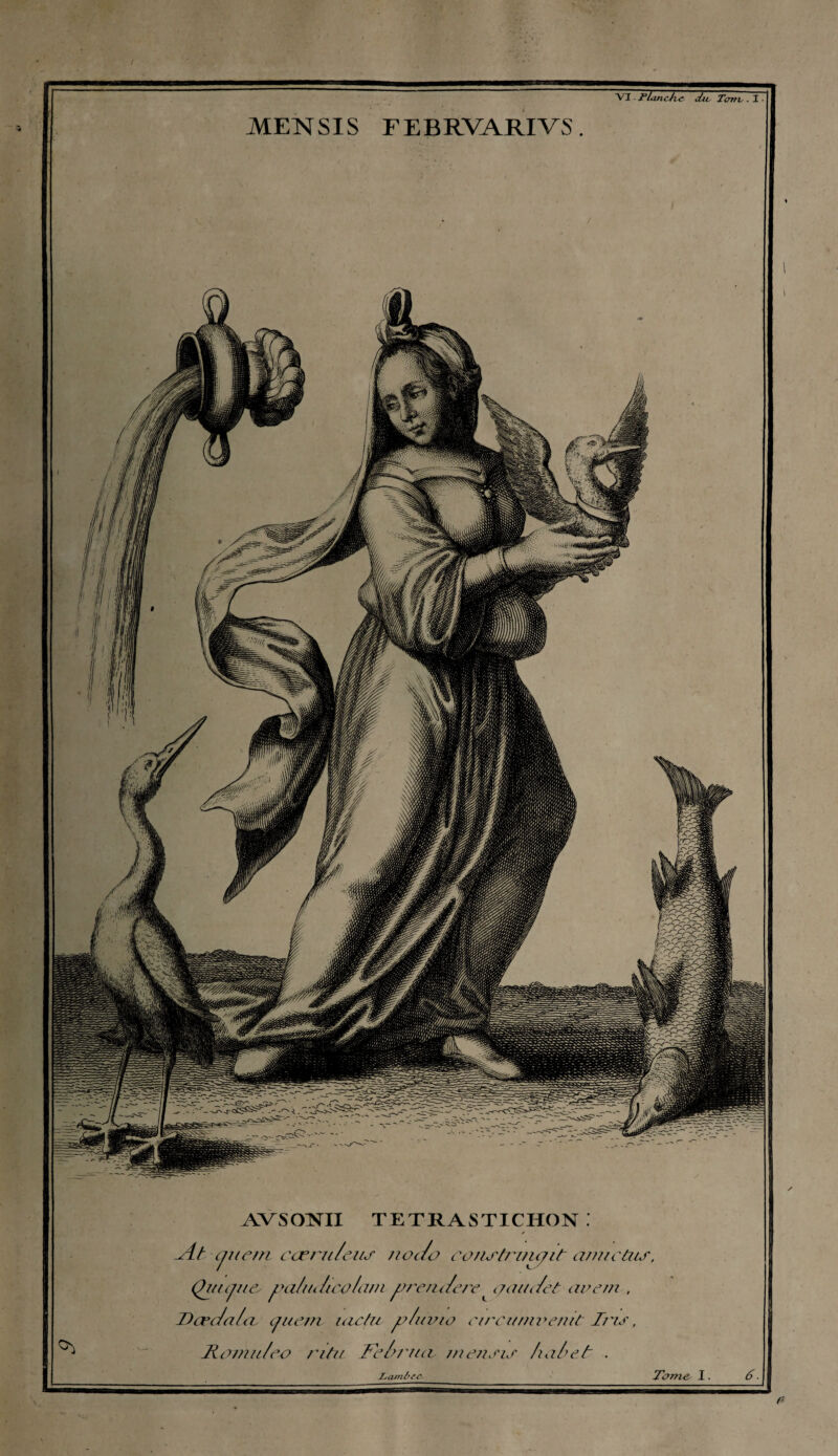 / ; V7 . Flandre die Tonv . I • MENSIS FEBRVARIVS. AVSCXNTE TETRASTICHON . At cjuem cœru/cuj' jioc/o cons'trmçit a/uictus, Quicjne, iHi/in/ico/am jrrenaere ^ c/audet auem , Dœclala, cjuem iec/u jy/uvio circitnn+enit Tt'is, Romu/eo ri tu. Fehriui mensis halte b . Lamùec- Terme- I. fi