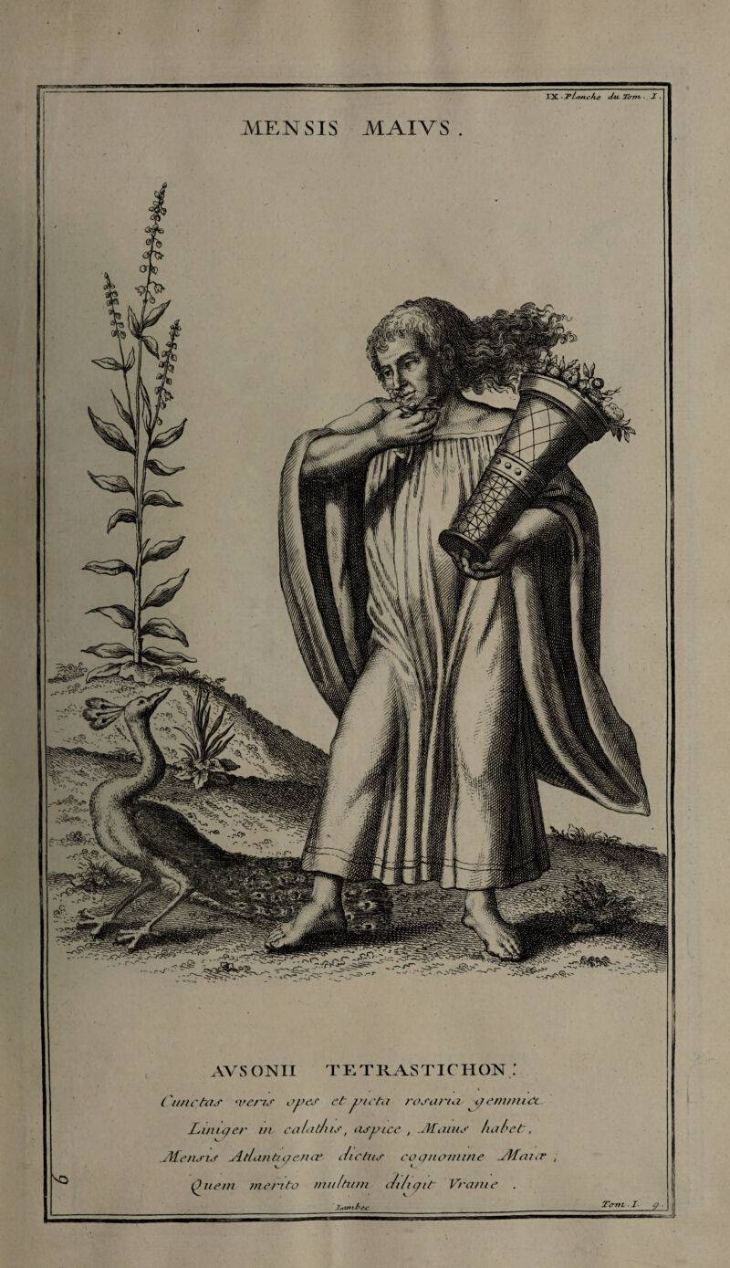 XX • 2latteAe du. Torrv . I. AV S O NII T E T RAS TICHON Cunctas •vet'is opes et jcncta rosana y emnu ci Liniqer ni calat/us, asyice , -Maine fia b et, Afensis Atlantic; en œ dictas coi/nanune Aïaur ; Qj.iem me/nto multuin dihçit Vranie . JHiiub e-c Ttmt . I■