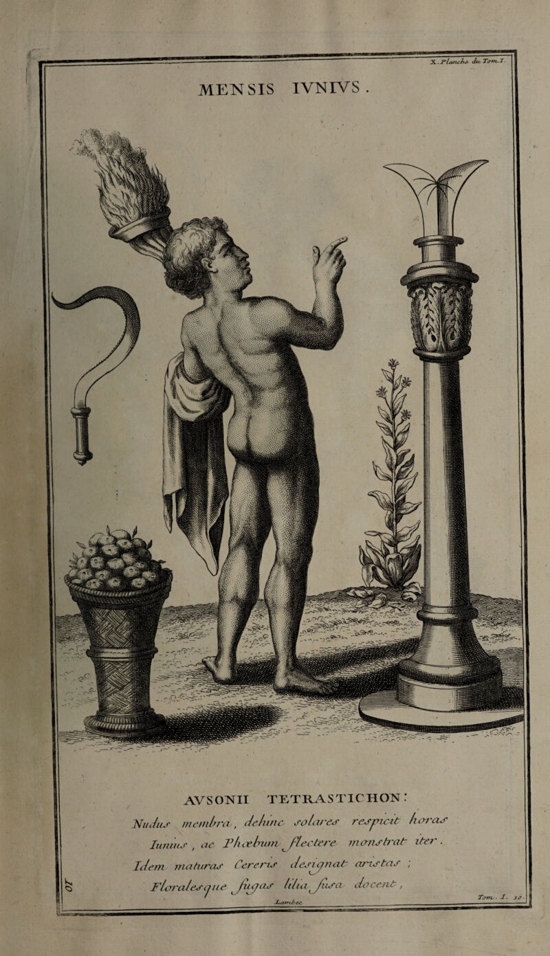 Tt.planche. du.Tom.T- limais , ac. PkœJmnv^flectere maristrat iter idem ma taras Ccrens desi ijaatr ans tas , Flaf'alescjua Jajjas li/urjusas docent, JLa.rrrbe/1 j. . . i»ii—Tiïnwir—