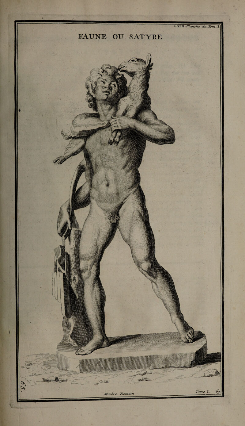 65. FAUNE i XIII -Pleuvefie du Terni - 3 OU SATYE.E Te nie 1-