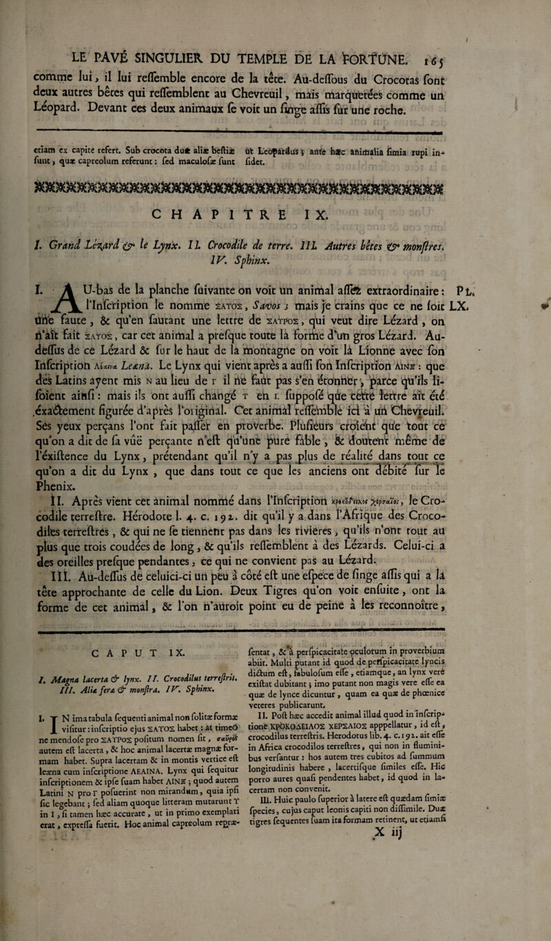 comme lui> il lui reflfemble encore de la tête. Au-deflous du Crococas font deux autres betes qui reflèmblent au Chevreuil, mais marquetées comme un Léopard. Devant ces deux animaux fe voit un linge affrs fur une roche. ctlam ex capite refert. Sub crocota du* aliae beftiae ut Leoparâus } ante h*c aftirtïàliâ fimia rupi in^ funt, quae capreolum referunt : fed maculofæ funt fidet. CHAPITRE IX. ' k- '• T-.'. TO •' ,.i : 'y,v, s*. . uc,.} ■ J. Grand Lézard & le Lynx. Il Crocodile de terre. 11L Autres bêtes & monjlres. IV. Sphinx. I. A U-bas de la planche fuivante on voit un animal affe extraordinaire: Pt j \ l’Infcription le nomme sàtos , Savos s mais je crains que ce ne foie LX. ühé faute, èc qu’en fautant une lettre de satpos , qui veut dire Lézard , on ri’àï't fait 2AT02, car cet animal a prefque toute là forrhe d\m gros Lézard. Au- delfus de ce Lézard & fur le haut de la montagne on voit là Lionne avec fon Infcription a %*»* Leanx. Le Lynx qui vient après a au (fi fon Infcription àins : que des Latins ayent mis n au lieu de r il ne Faùt pas s’en étohhGr \ parce qu’ils li¬ aient ainfî : mais ils ont aufli changé t eh r. fuppofé que cettë lettre ait été .éxa&ement figurée d’après l’original. Cet animâî refle’mble ici à uh Chevreuil. Ses yeux perçans l’ont fait paifër en proverbe. Plùfieurs croîèht qu'e tout ce qu’on a dit de la vue perçante neft qu’une pure fable , & doutent même de l’éxiltence du Lynx, prétendant qu’il n’y a pas plus de réalité dans tout ce J 1 1 * • * *1 v.-i . ^ -yf-î'v.vY'* qu’on a dit du Lynx , que dans tout ce que les anciens ont débité fur le Phénix. II. Après vient cetànimal nommé dans l’Ihfcriptioh ^cuos, leCro-* codiie terreftre. Hérodote 1. 4. c. 191. dit qu’il y a dans l’Afrique des Croco¬ diles terreftrès, & qui ne fe tiennent pas dans les rivières > qu’ils n’ont tout au plus que trois coudées de long, & qu’ils reflèmblent à des Lézards. Celui-ci a des oreilles prelque pendantes 3 ce qui ne convient pas au Lézard. lit. Aù-delfus de celuici-ci un peu à coté eft une efpëce de finge allis qui a la tête approchante de celle du Lion. Deux Tigres qu’on voit enfuite, ont la forme de cet animal, & l’on n’auroit point eu de peine à les reconnoître, c A P u T IX. /. Magna, lacer ta & lynx. II. Crocodilus terre fris. III. Alu fera & monjlra. IV. Sphinx. I. T N ima tabula fequenti animal non folitæ forma: X vifitur : inferiptio ejus 2ATOS habet : at timeô ne mendofe pro SATPos pofitum nomen fit, o-etvfof autem eft lacerta, & hoc animal lacertæ magnæ for- mam habet. Supra laccrtam 8c in montis vertice eft leæna cura inferiptione AEAINA. Lynx qui fequitur inferiptionem ÔC ipfe fuam habet AINS ; quod autem Latini n pro r pofuerint non mirandam, quia ipfî fie legebant ; fed aliam quoque litteram mutarunt T in I j fi tamen hæc accurate , ut in primo exemplari crac, expreftà fucric. Hoc animal capreolum repræ- fentat, perfpicacitate ocutotum in proverbium abiit. Multi putant id quod de peffpicacitate lyncis ditftum eft, fabulofum efte , edamque, an lynx veré exiftat dubitant $ imo putant non magis vere efte ea quae de lynce dicuntur , quam ea quæ de phcenice veteres publicarunt. II. Poft hæc accedit animal illud quod inlnfcrip- tione KPOKOAEIAOS XEP2AI02 apppcllatur , id eft ÿ crocodilus terreftris. Herodotus lib. 4. c. 191. ait efte in Africa crocodilos terreftres, qui non in flumini- bus verfantur : hos autem très cubitos ad fummum longitudinis habere , lacertifque fimiles efte. Hic porro aures quafi pendentes habet, id quod in la- certam non convenir. 1U. Huic paulo fuperior à latere eft qusedam fitniæ fpecies, cujuscaput leoniscapiti non diftimile. Du£ tigres fequentes fuam itaformam retinent, ut efiamfi