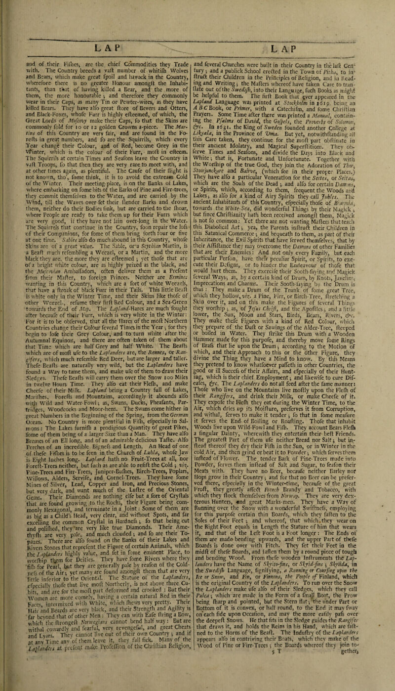 and of tiieir Fiflics, are the chief Co'inmodities they Trade Vvitli. Tlie Country breeds a vail number of vvhitifli Wolves and Bears, whicli make great fpoil and havock in the Country, wherefore there is no greater Honour amongft tlie Inhabi¬ tants, than that of having killed a Bear, and the more of them, the more honourable •, and tlierefbre they dommonly wear in tlieir Caps, as many Tin or Pewter-wires, as they have killed Bears. They liave alfo great (lore of Bevers and Otters, and Black-Foxes, whofe Furr is higlily efleemed, of which, the Great Lords of Afufeovy make their Caps, fo that the Skins arc commonly fold for lo or 12 golden Crowns a-piece. The Mar¬ tins of this Country are very fair, and are found in the Fo- refls in great numbers, and fo are the Squirrils, which every Year change their Colour, and of Red, become Grey in the t\^inter, which is the colour of their Furr, mofl in elteem. The Squirrils at certain Times and Seafons leave the Country in vail Troops, fo that then they are very rare.to meet with, and at other times again, as plentiful. The Caufe of their flight is not known, tlio’, fome think, it is to avoid the extream Cold of the Winter. Their meeting-place, is on the Banks ot Lakes, where embarking on fome bits of the Barks of Pine and Firr-trees, they commit themfclves to the Water, and are carried by the Wind, till the Waves over-fet their flender Barks and drown them, neither do their Bodies fink, but are carried to the flioar, where People are ready to take them up for their Furrs which are very good, if they have not lain over-long in the Water. The Squirrels that continue in the Country, foon repair the lofs • of their Companions, for fome of them bring forth four or five at one time. Sables alfo do much abound in this Country, whofe Skins arc of a great value. The Sable, or'a Scythian Martin, is a Bead iTucli refembling a Weezel, or a Martin, and the more black tlicy arc. tlie more they are efleemed ; yet thofe that are of a bright white colour, are as highly prized as the black, and tlie Mufcivian Ambalfidors, often deliver them as a Prefent from their Mafler, to foreign Princes. Neither are Ermine: wanting in tliis Country, which are a fort of white Weezels, that have a flroak of black Furr in their Tails. This little Bead is white only in the Winter Time, and their Skins like thofe of other Weezel.., refume their fird Red Colour, and a Sea-Green towards the End of May. Tlie La-pland-H-ita are much fought after bccaufe of their Furr, which is very white in the Winter: For it is to be obferved, that ail the Hares of the mod Northern Countries change their Colour fevcral Times in the Year ; for they begin to lofe tiieir Grey Colour, and to turn white after the Autumnal Equinox, and there are often taken of them about that Time which are half Grey and half White. The Beads which are of mod ufe to the Laplanders are, the Rennes, or Ran- g’fcrs, wliici) much refemble Red Deer, but are larger and taller. Tiiefe Beads are naturally very wild, but the Laplanders have found a Way to tame them, and make ufe of them to draw their Sledges. Tliefe Beads will carry them over the Snow 100 Miles in tivelve Hours Time. They alfo cat their Fledi, and make Cheefe of their Milk. Lapland being a Country full of Lakes, Marifhes, Foreds and Mountains, accordingly it abounds alfo witji Wiki and Water-Fowl; as, Swans, Ducks, Pheafants, Par¬ tridges, Woodcocks and Moor-bens. The Swans come hither in great Numliers in the Beginning of the Spring, from the German Ocean. No Country is more plentiful in Fidi, efpecially in Sal¬ mons : The Lakes furnifli a prodigious Quantity of great Pikes, lome of them being of a larger Size than a Man. They have alfo Brc niesof an Eli long, and of an admirable delicious Tade. Alfo Perches of an incredible Bignefs and Length. An Head of one of thefe Frllies is to be feen in the Church of Luhla, whofe Jaw is Eight Inches long. Lapland hatli no Fruit-Trees at all, nor Fored-Trees neither, but fuch as are able to refid the Cold ■, 'u/g. Vine-Trees and Firr-Trees, funiper-Budies, Birch-Trees, Poplars, Willows. Alders, Servife, and Cornel-Trees. They have fome Mines of Silver, Lead, Copper and Iron, and Precious Stones, but very dark, and want mucli of the Ludre of the Oriental Gems. Their Diamonds are nothing elfe but a fort of Crydals that are found growing to tlie Rocks, their Figure being com¬ monly Hexagonal, and terminate in a Joint: Some of them are as big as a Child’s Head, very clear, and without Spots, and far excelling the common Crydal in Hardnefs; fo that being cut and poliflied, they'are very like true Diamonds. Their Ame- thyds are very p.ile, and much clouded and fo are their To- ■p.tzes. There are alfo found on the Banks of their Lakes and Rivers Stones that reprefent the Figure of certain Animals, which the Laplanders highly value, and fet in fome eminent Place, to worfiiip tiicm for Deities. Tlicy have fome Rivers where tliey ■fifli for Pearl, but they are generally pale by reafon of the Cold- jiefs of the Air-, yet many are found amongd them that are very little inferior to the Oriental. The Stature ot the Laplandets, efpecially tliofc that live mod Nortlicrly, is not above three Cu¬ bits and are for the mod p.irt deformed and crooked ; But their Women arc more comely, Iiaving a certain natural Red in their Ficc< iiitei mixed with White, wliich fhews very pretty. Their Hair .ind Ikards are very black, and tlicir Strength and Agility is ■far beyond that of other Men : They can with Eafe dring a Bow, which'the dronged Norweiians cannot bend half w-ay : But are withal cowardlv and fearful, very revengeful, and great Cheats and Lyars. They cannot live out of their own Country and if at any Time anv of fhe:i\ Ic.ivc it, they fall fick. Many of the Ullar.de,s at prefent make ProfelTion of theChridian Religion, and feveral Churches were built in their Country in the lad Cen¬ tury ; and a publick School crefted in the Town ot' Pith,,, to in- druft their Children in the Principles of Religion, and in Read¬ ing and Writings the Maders whereof have taken Care to rr.in- ilate out oftlie Svsedifli, into their Languigc, fuch Books as might be helpful to them. The fird Book that ?vcr appeared in the Lapland Language was printed at Stockholm in 1619. being an >16CBook, or Primer, with a Catechifm, and fome Chriilian Prayers. Some Time after tliere was printed a Afanual, contain¬ ing the Pfalms of David, the Gofpels., the Proverbs of Solomon, dyyc. In idgi. the King of S'n’erfen founded another College at Li^-ala, in the Province of Vma. But yet, notwithdanding all tiiis Care taken, they continue for the mod part obdinate in their ancient Idolatry, and Magical Superditions. They ob- ferve Times and Seafons, and divide the Days into Black and White-, that is. Fortunate and Unfortunate. Together with the Worlhip of the true God, they join the Adoration of Thor, Stoor'}unc\are and Bairve, (whicli fee in their proger Places.) They have alfo a particular Veneration for the Series, or Sett as, which are the Souls of the Dead ; and alfo for certain Deemms, or Spirits, which, according to them, frequent the Woods and Lakes j as alfo for a kind of Airy Spirits they call Juhles. The ancient Inhabitants of this Country, efpecially thofe of B'armia, towards the White-Sea, did wonderful Things by tiieir Magick 1, but fince Chridianity hath been received amongd them, Magick is not fo common: Yet there are not wanting Maders that teach this Diabolical Art; yea, the Parents indrudl their Children in this Satanical Commerce -, and bequeath to them, as part of their Inheritance, the Evil Spirits that have ferved themfelvcs, that by tiieir AfTidance tliey may overcome the Damons of other Families that are their Enemies: And not only every Family, but each particular Perfon, have their peculiar Spirit, or Spirits, to exe¬ cute their Defigns, or to hinder tlie Endeavour of thofe that would hurt them. Tliey excrcife their Sooth-faying and Magick fevcral Ways; as, by a certain kind of Drum, by Knots, Javelins^ Imprecations and Charms. Their Sooth-laying by the brum is thus : They make a Drum of the Trunk of fome great Tree, which they hollow,-uQ. a Pine, Firr, or Birch-Tree, dretching a Skin over it, and on this make the Figures of feveral Things they worfhip ; as, of Jefus Chrifl, and the Apodics; and a little lower, the Sun, Moon and Stars, Birds, Bears, Rivers, &c. They make thefe Figures with a kind of Red Colour, which they prepare of the Dud or Sawings of the Alder-Tree, deeped or boiled in Water. They drike this Drum with a Wooden Hammer made for this purpofe, and thereby move fome Rings of Brafs that lie upon the Drum; according tp the Motion of which, and their Approach to this or the other Figure, they divine the Thing they have a Mind to know. By this Means they pretend to know whatfoever paffeth in other Countries, the good or ill Succefs of their Affairs, and efpecially of their Hunt¬ ing, which is their chief Employment; and likevvife to cure Dif- eafes, ^c. The Laplanders do notall feed after the fame manner: Thofe who live on the Mountains live modly upon the Flefh of their Rangifers, and drink their Milk, or make Cheefe of it* They expofe the Flefh they eat during the Winter Time, to tire Air, which dries up its Moidure, preferves it from Corruption, and withal, ferves to make it tender ; fo that in fome meafiire it ferves the End- of Boiling or Reading. Thofe that inhabit Woods live upon Wild-Fovvl and Fifli. They account Bears Flefh a fingular Dainty, wherewith they entertain their- bed Friends. The greated Part of them ufe neither Bread nor Salt; but in¬ dead thereof they dry their Fidi in the Sun, or in Winter in the cold Air, and then grind or beat it to Powder; which ferves them indead of Flow'er. The. tender Bark of Pine-Trees made into Powder, ferves them indead of Salt and Sugar, to feafon their Meats with. They Iiave no Beer, becaufe neither Barley not Hops grow in their Country; and for that no Beer can be prefer- ved there, cfpecirlly in the Winter-time, becaufe of the great Frod, they greatly affeft French Brandy and Tobacco, with which they dock themfclves from Norway, They are very dex¬ terous Hunters, «nd great Marks-men. They have a Way of Running over the Snow with a wonderful Svviftnefs, employing for this purpofe certain thin Boards, which they faden to the Soles of their Feet ; and whereof, that whicli.they wear on the Right Foot equals in Length the Stature of him that wears if, and that of the Left Foot is a F'oot longer : Tlie Ends of them are made bending upwards, and the upper Part of tlrefe Boards is done over with Fitch. They fet their Feet in the midd of thefe Boards, and faden them by a round piece of tough and bending Wood. From thefe wooden indruments the Lap¬ landers have the Name of Sl^ito-fins, or Shjid-fins ; Shriida, in tlie Swedifl) Language, fignifying, a Running or Courfing upon the Tee or Snow, and Fin, or Finnans, the People of Finland, which is the original Country of the Laplanders. To run over the Snow the Laplanders make ufe alfo of their Sledges, which tliey call Pulca; which are made in the Form of a fmaji Boat, the Prow being fharp and pointed, but the Stern flat; the under Part or Bottom of it is convex, or half round, to the End it may fway oneach fide upon Occafion, and may the more eafily pafs over the deeped Snows. He that fits in the Sledge guides the Rangifer that draws it, and holds the Reins in his Hand, which are fad- ned to the Horns of the Bead. The Indudry of the Laplanders appears alfo in contriving their Boats, which thev make of the Wood of Pine or Firr-Trees; tlie Boards whereof they join to-- 5 T gether*