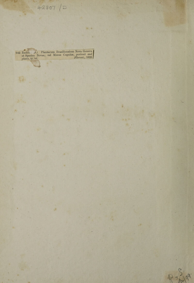 tfZKoi t ^ i ii - 942 Raddi, T.) Plantarum Brasiliensium Nova Genera et Species Novae, vel Minus Cognitae, portrait and piat es, hf. hd. Florent., 1825